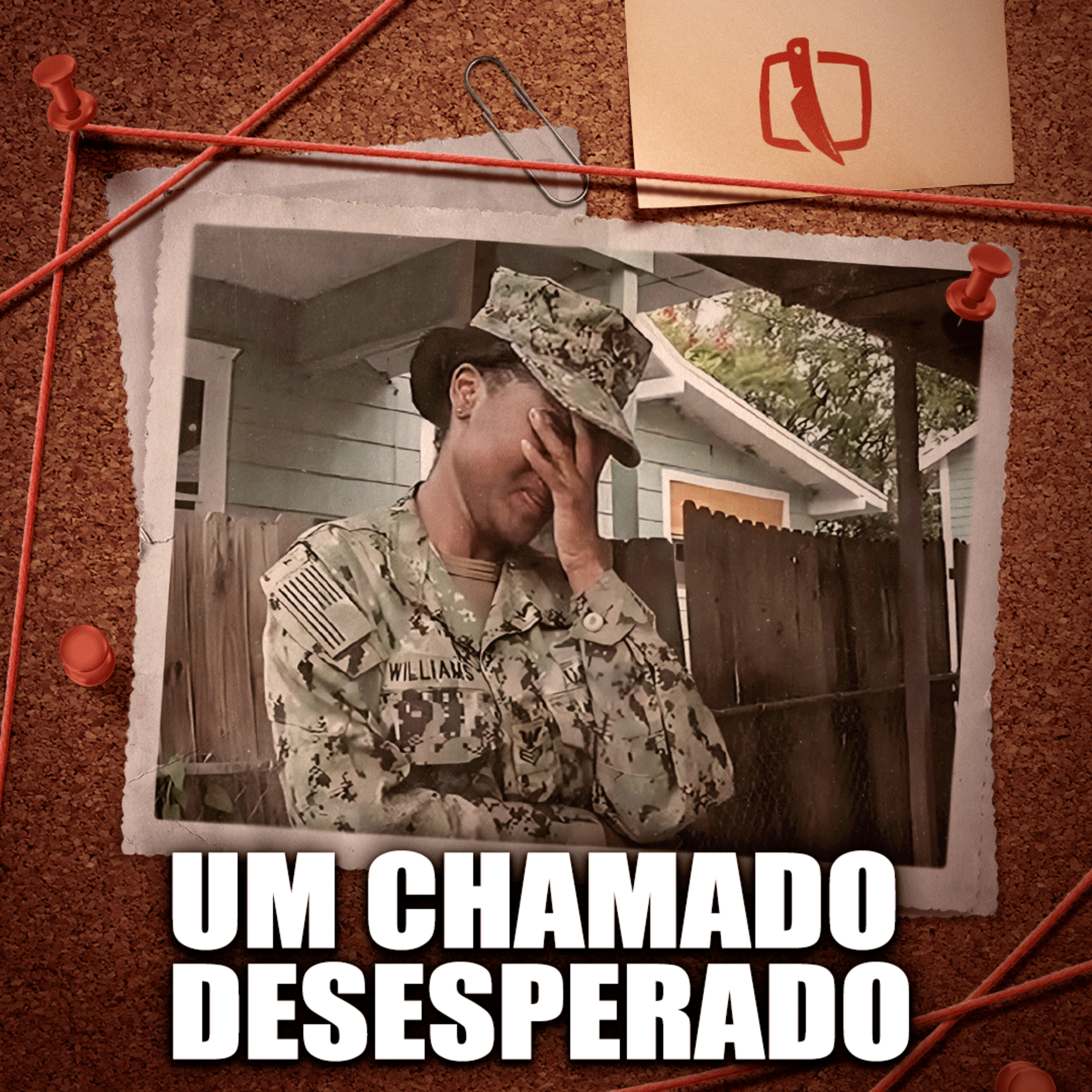 A VERDADE QUE NINGUÉM ESPERAVA - (Caso Brianna e Taylor Williams) episode artwork