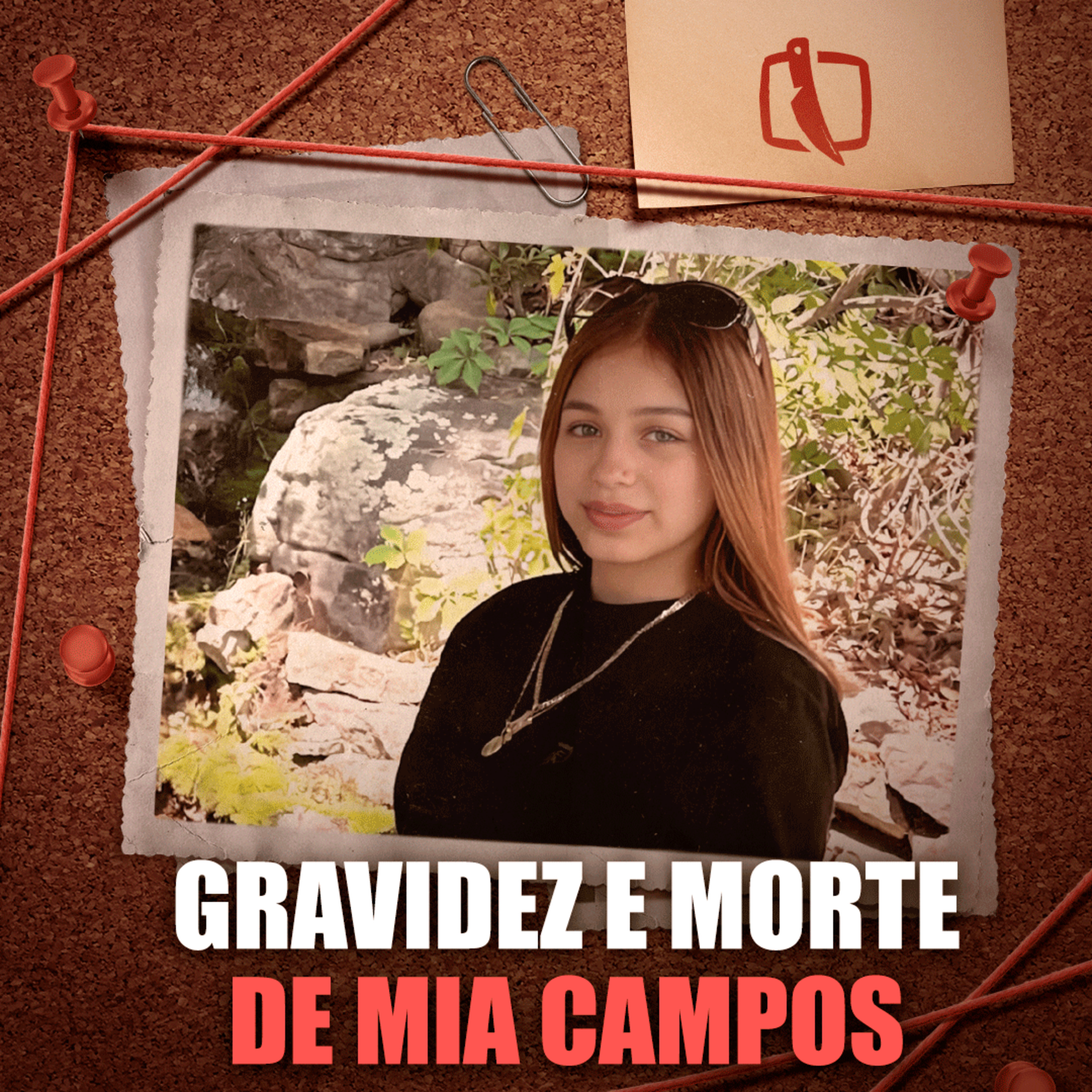 "GRÁVIDA DE 7 MESES, ELA NÃO VOLTOU PRA CASA DEPOIS DA "VOLTINHA" COM O NAMORADO (Mia Campos) episode artwork