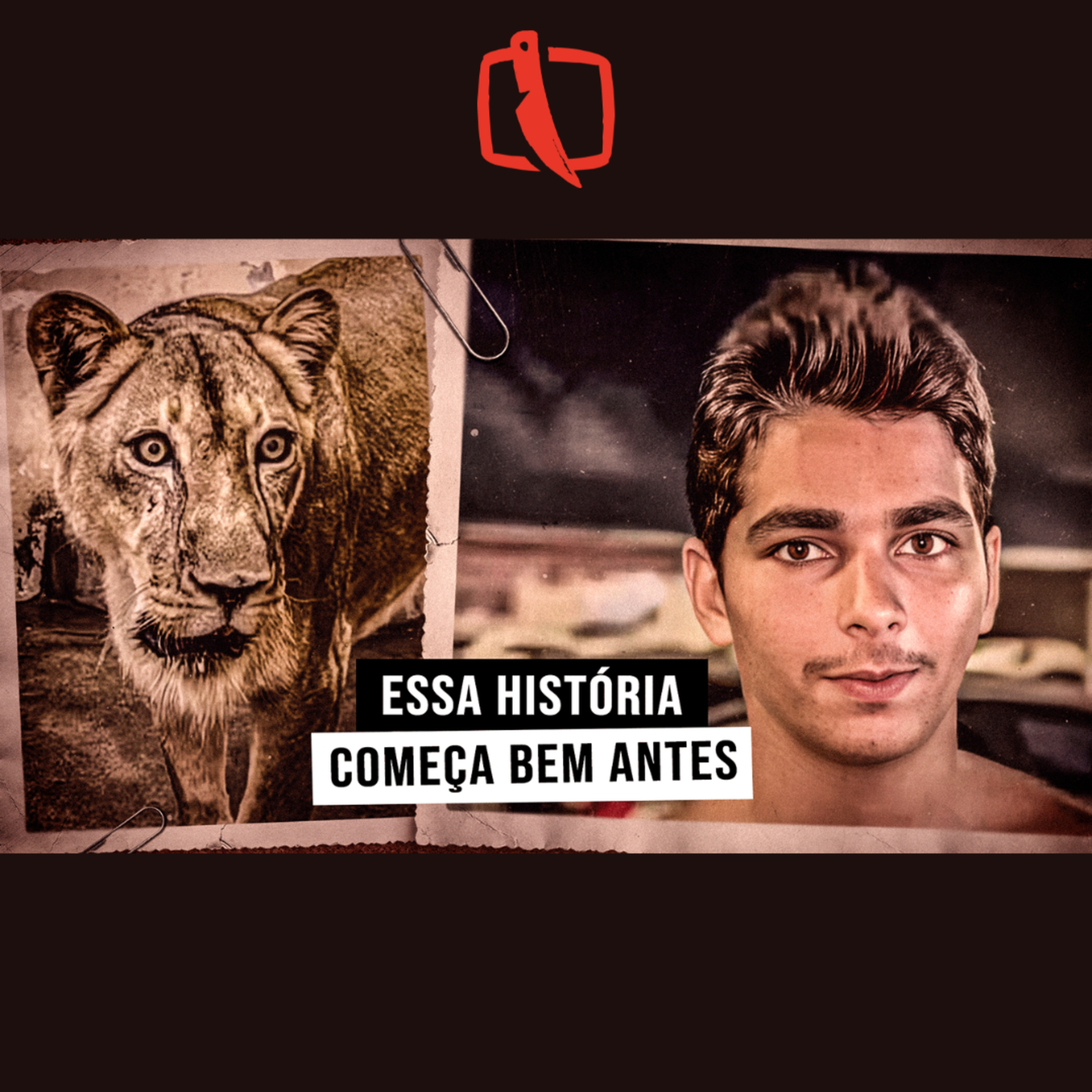 Vamos aos Fatos podcast cover
