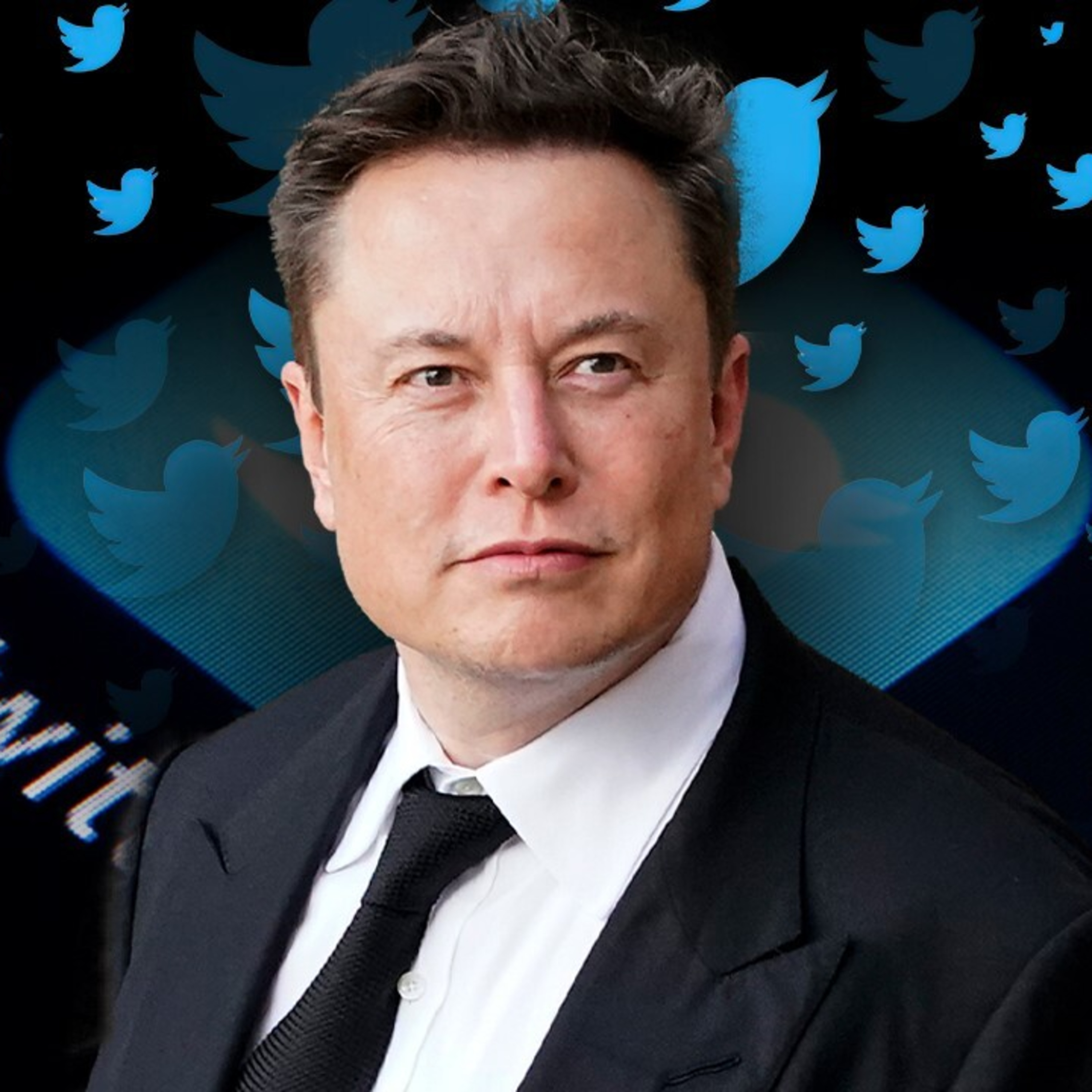 Elon Musk 的言論自由比我更自由？Twitter Fact Check 訊息突然消失 episode artwork