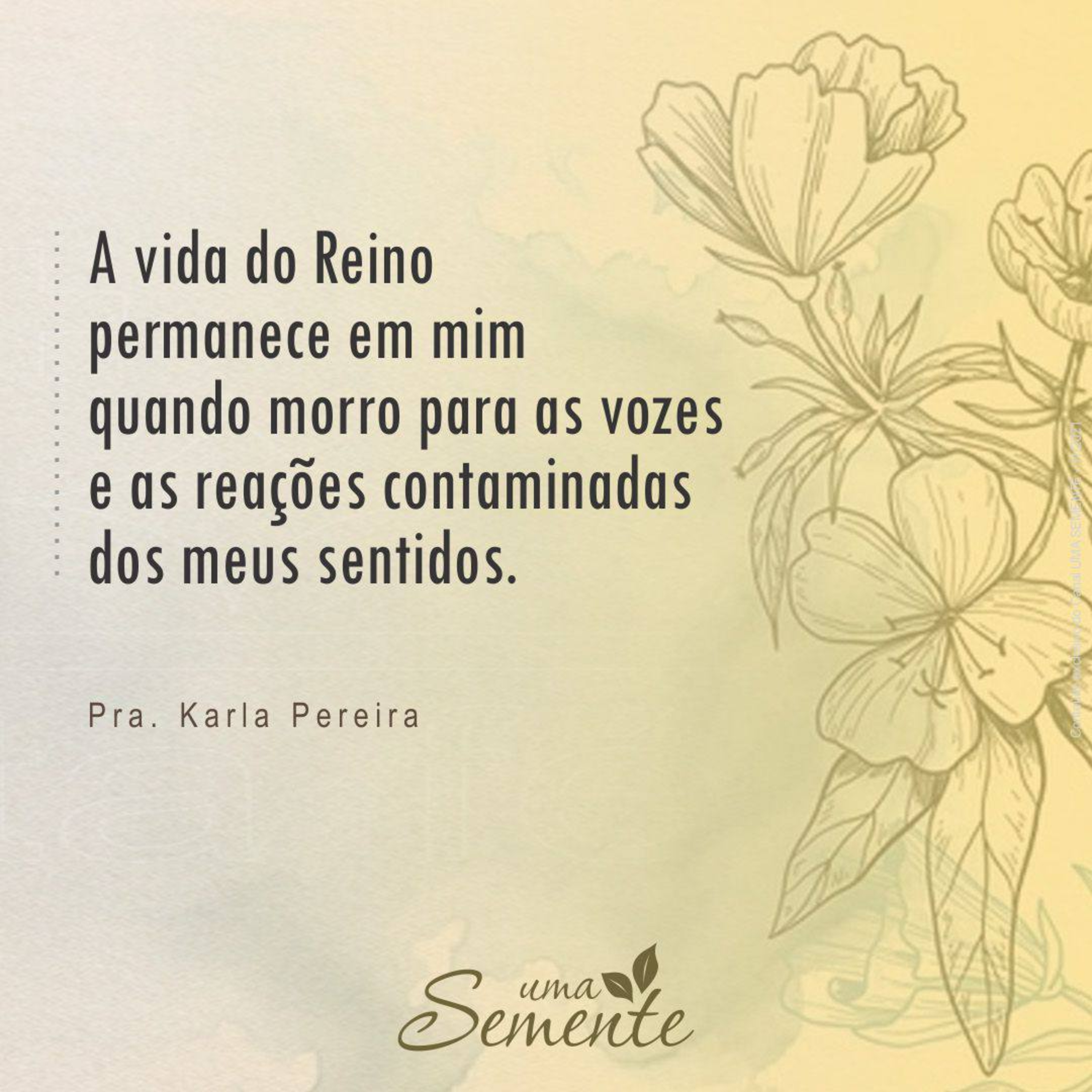 Uma Semente