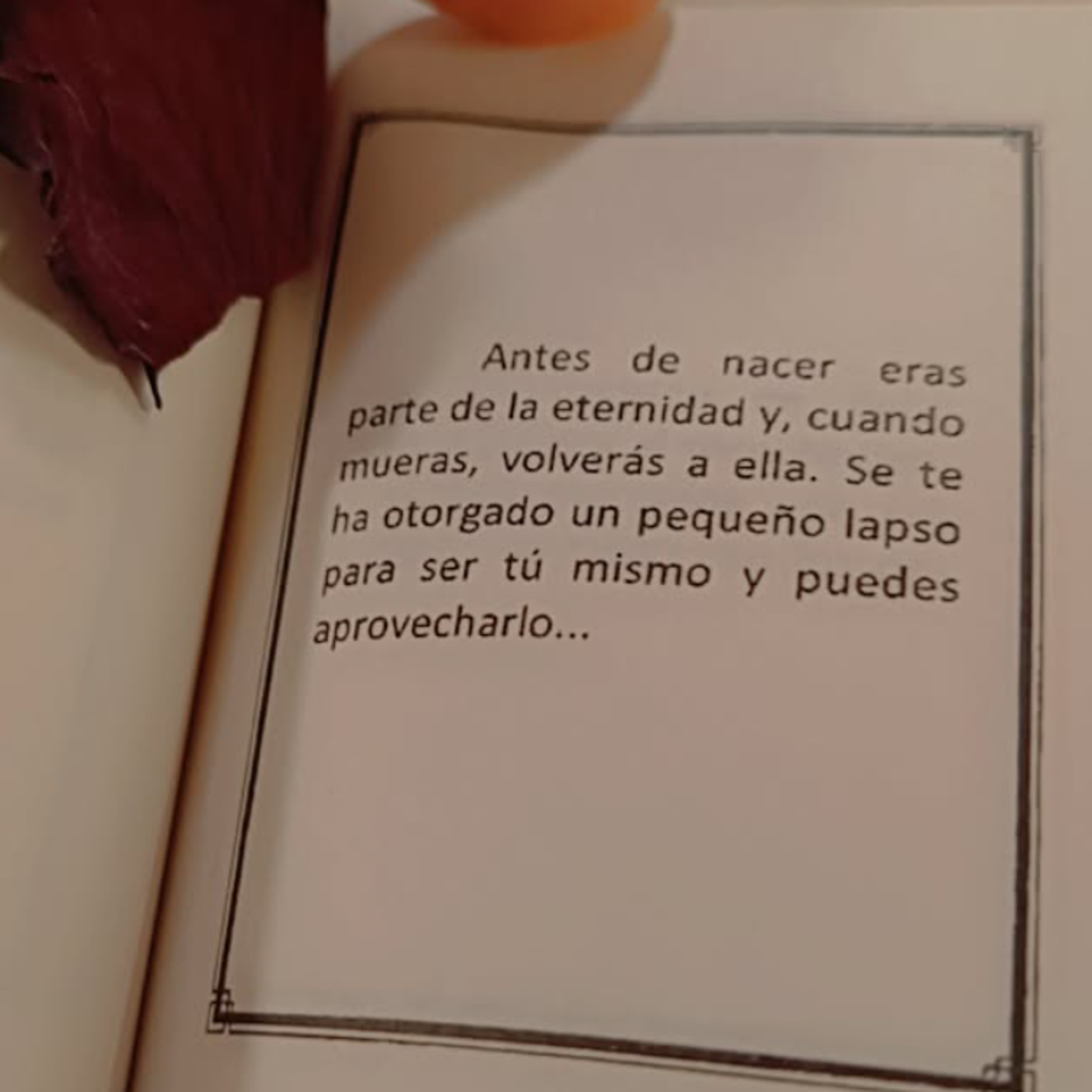 Bailar la vida  episode artwork