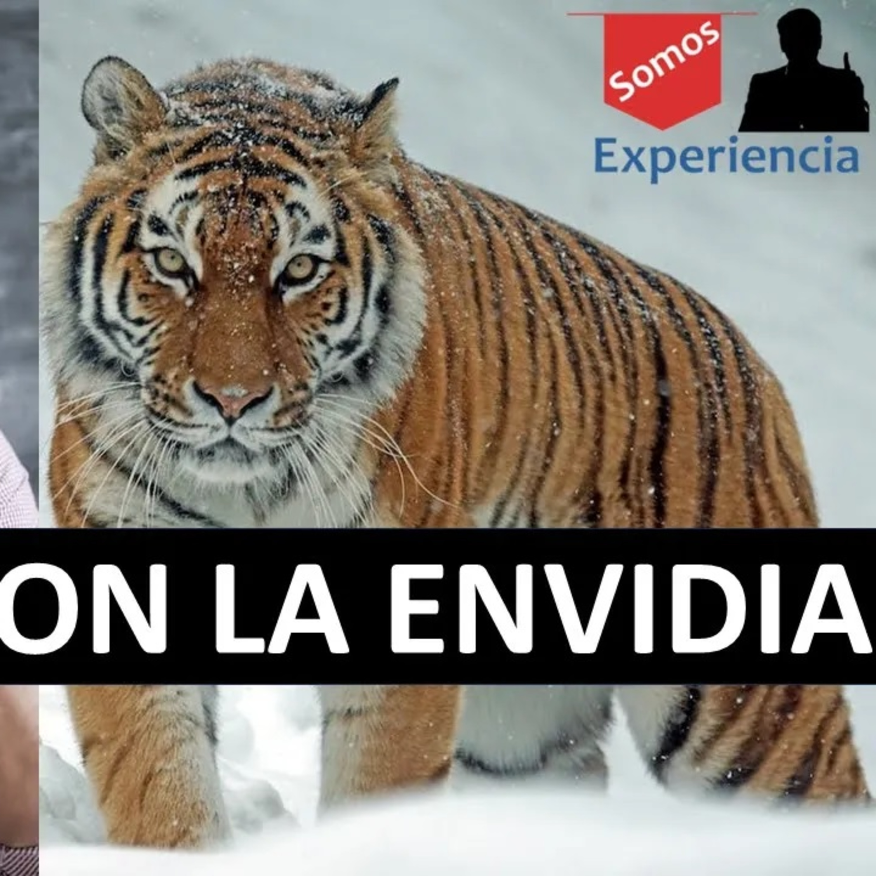 Somos Experiencia