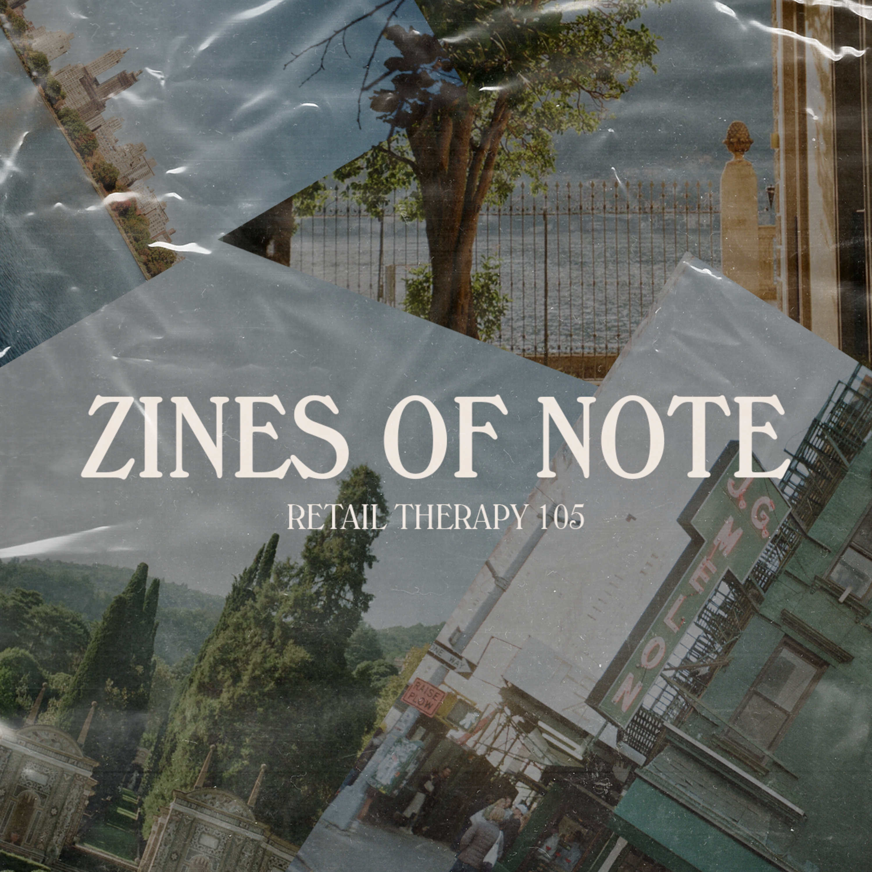 Retail Therapy 107: Zines of Note