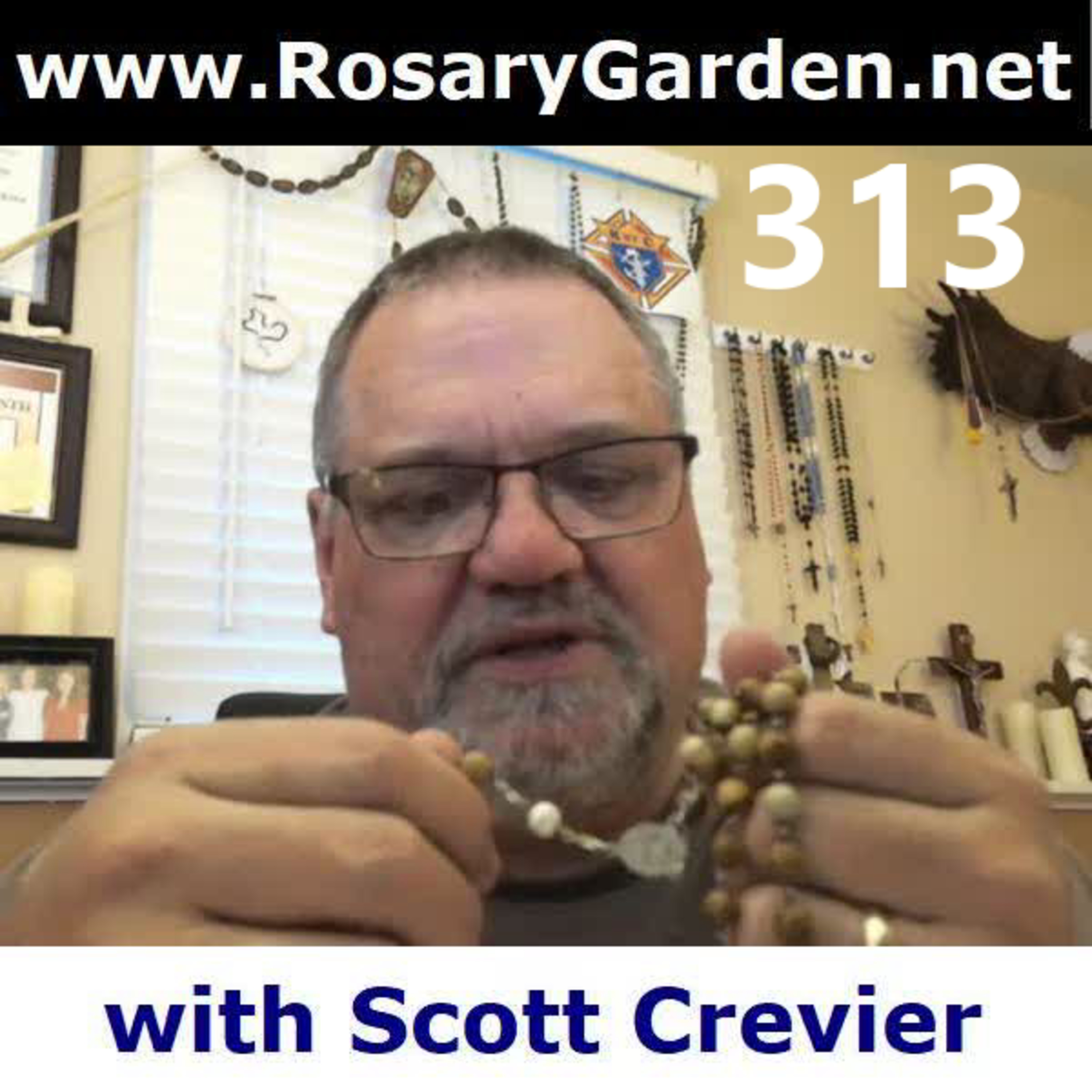 Ep. #313 - Rosary, Sorrowful Mysteries episode artwork