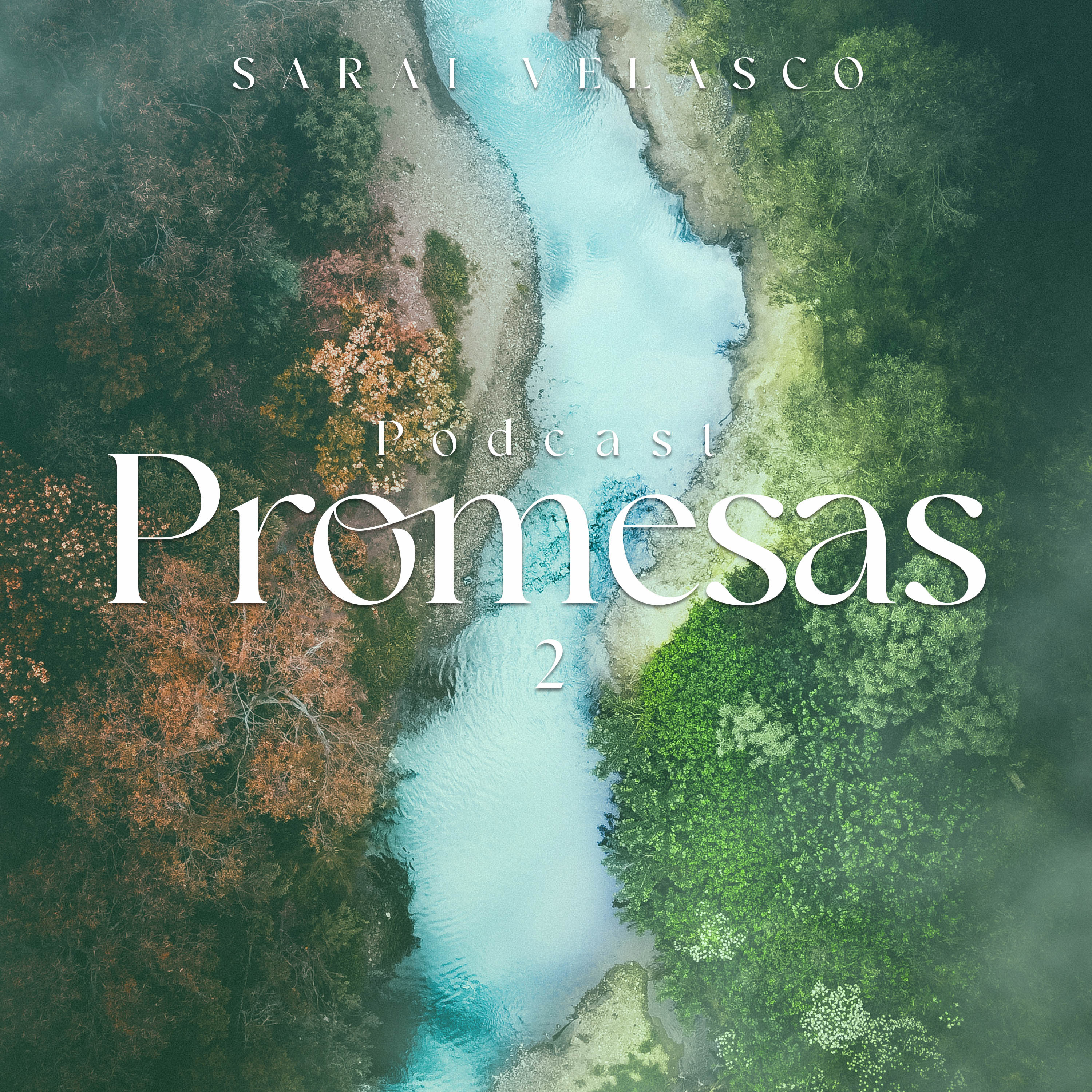 Promesas