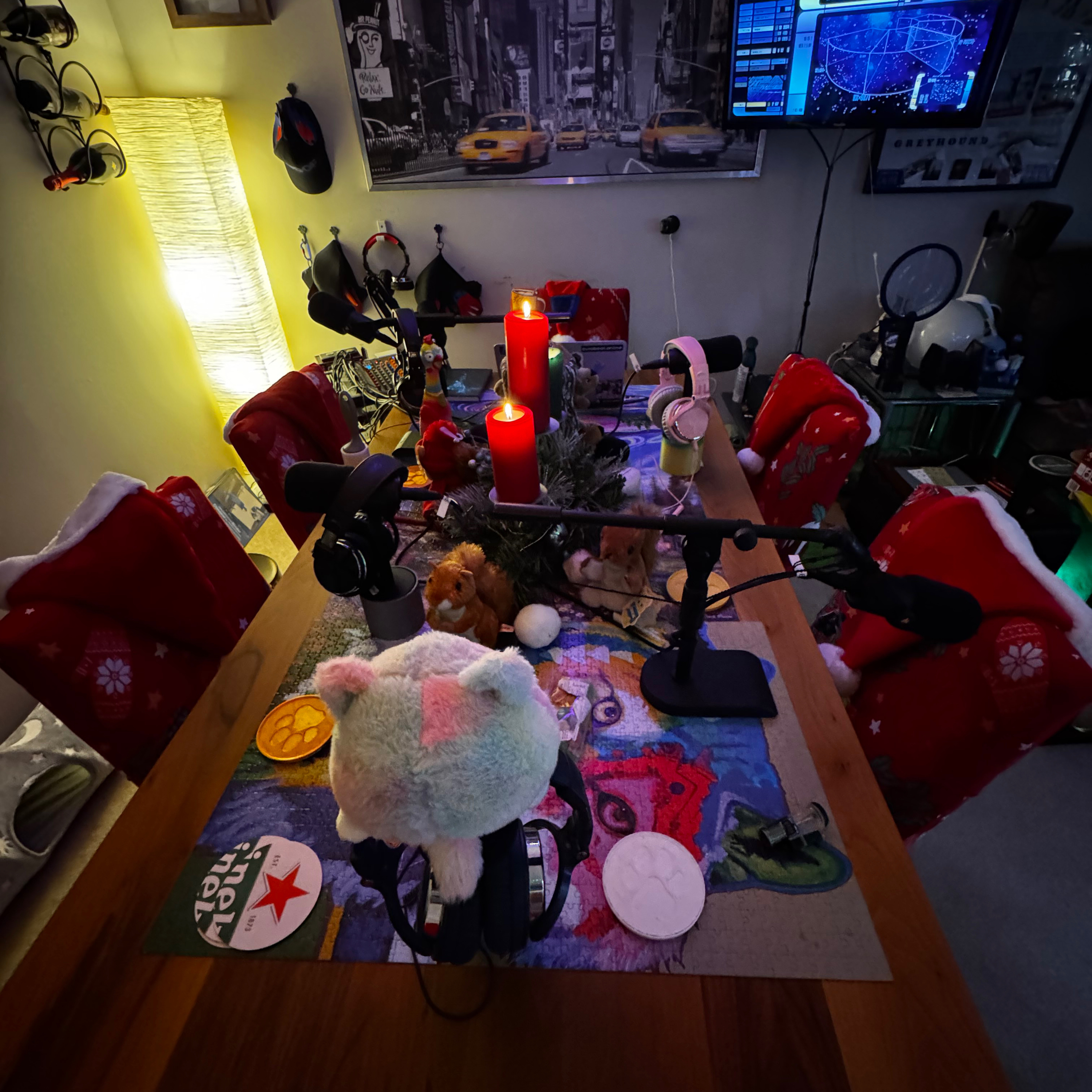 The Squirrel Hour / Squirrels After Dark