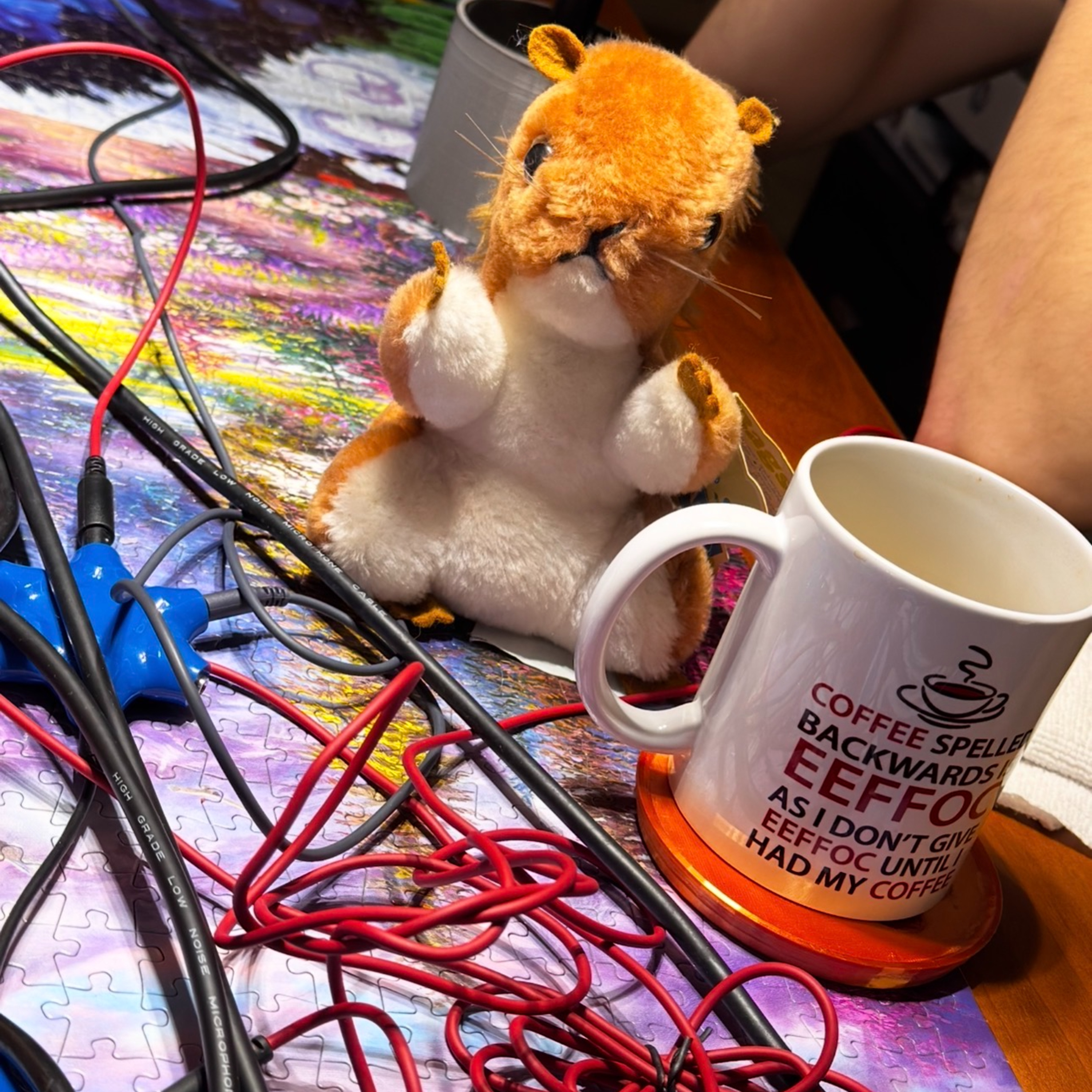 The Squirrel Hour / Squirrels After Dark