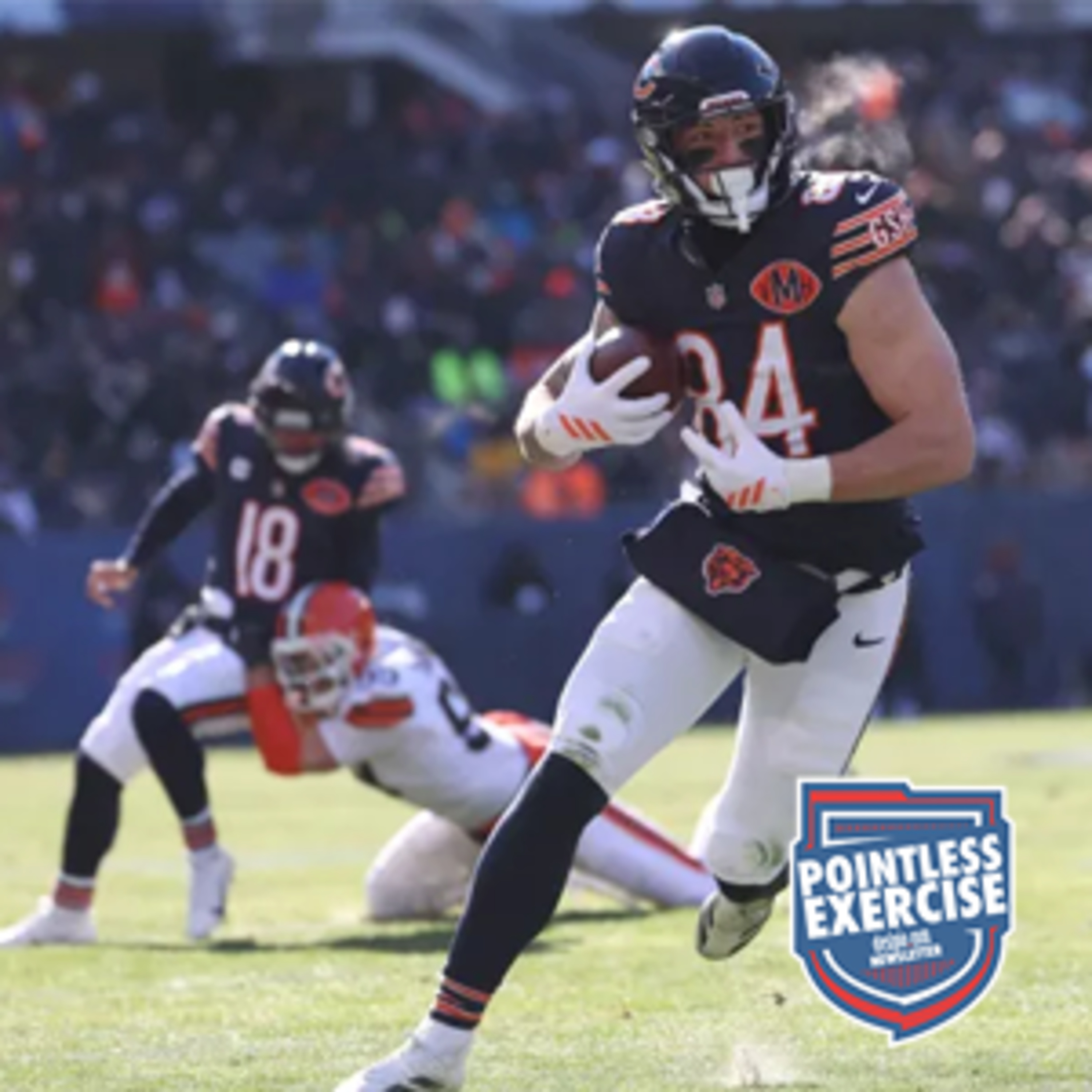 456. Too cold to sweat this one - RECRAP - Bears 31, Browns 3 - Pointless Exercise Podcast episode artwork