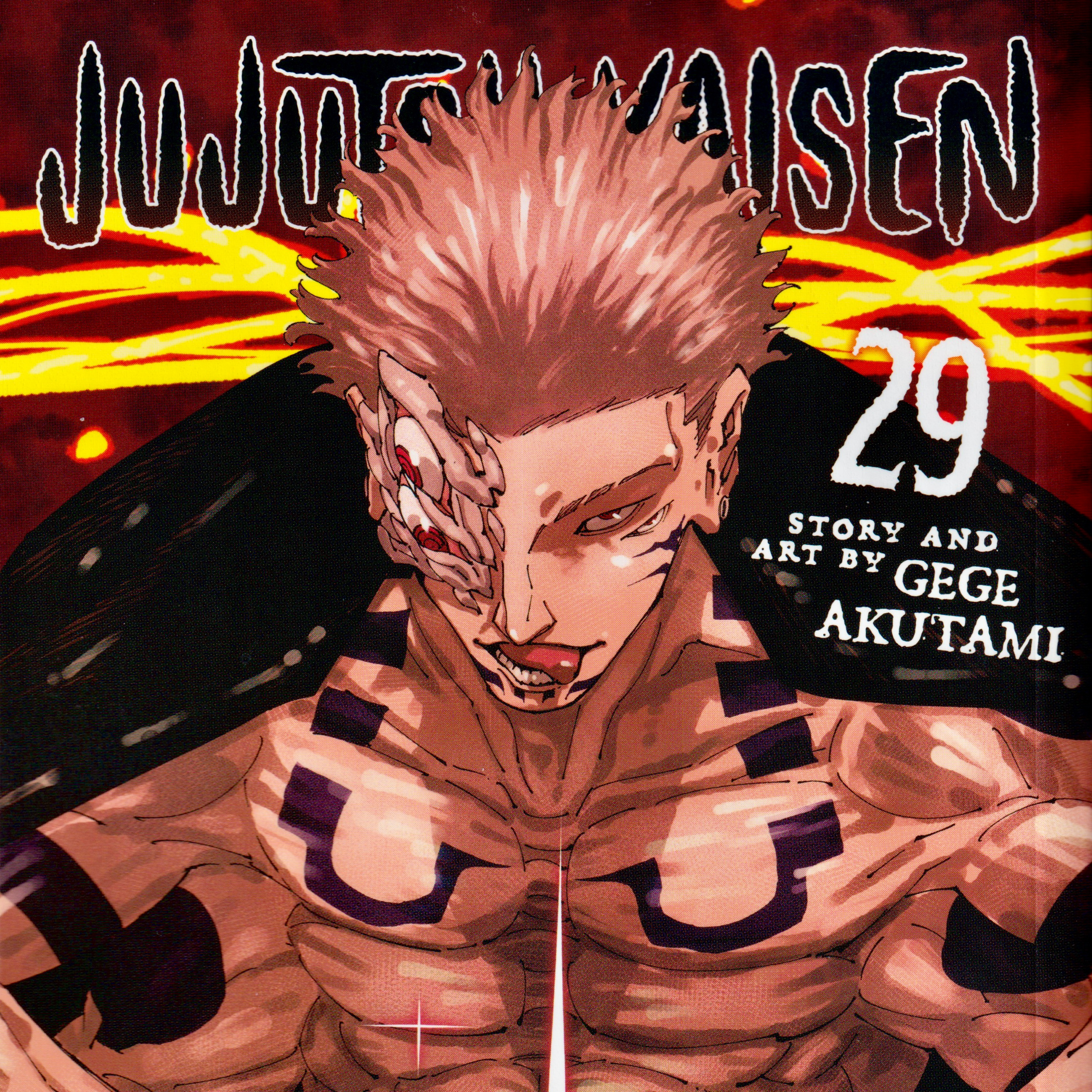 Jujutsu Kaisen - Vol. 29 Discussion