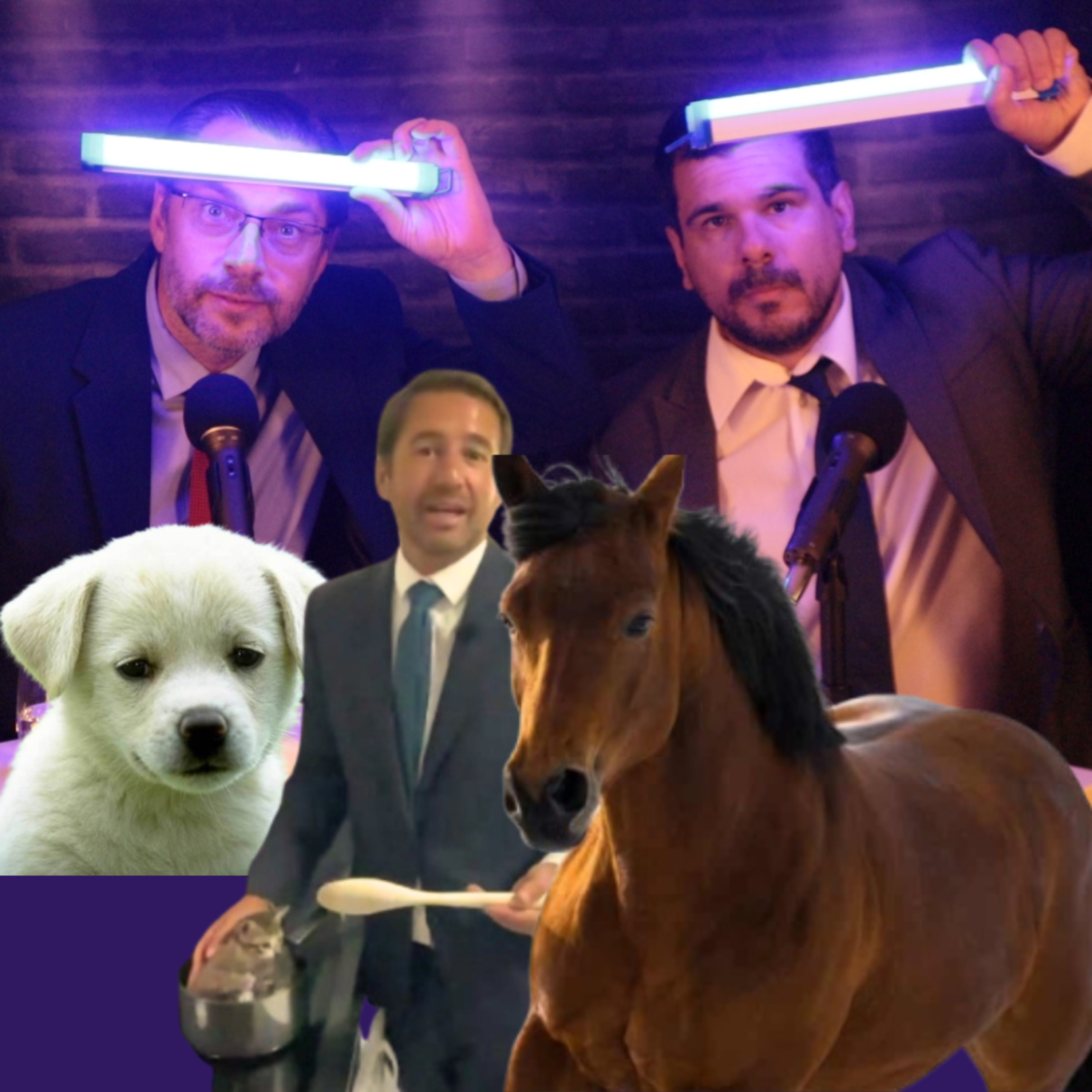 Episódio 207: Incêndios, Dr. Pedro Frazão come animais? episode artwork