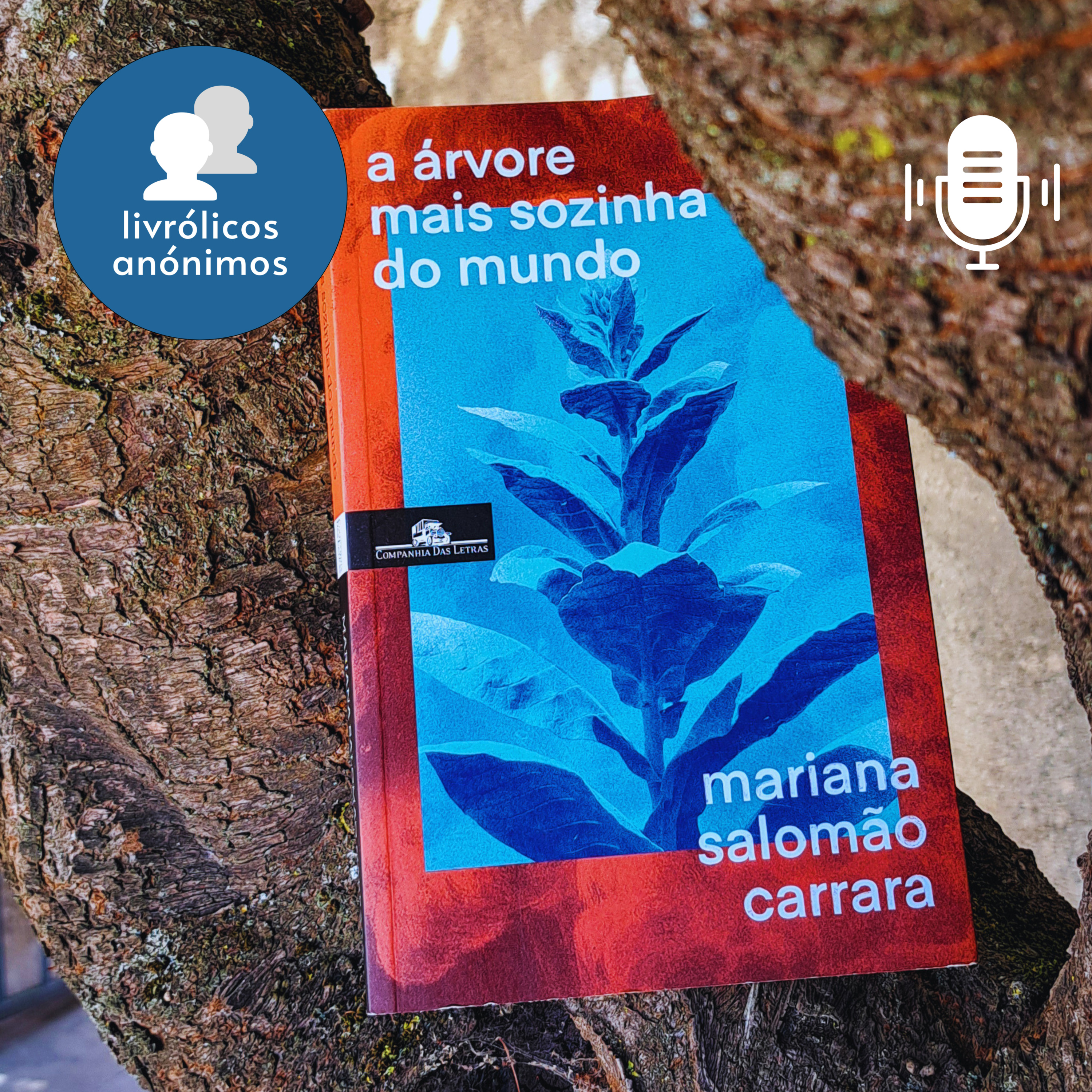 Livrólicos Anónimos