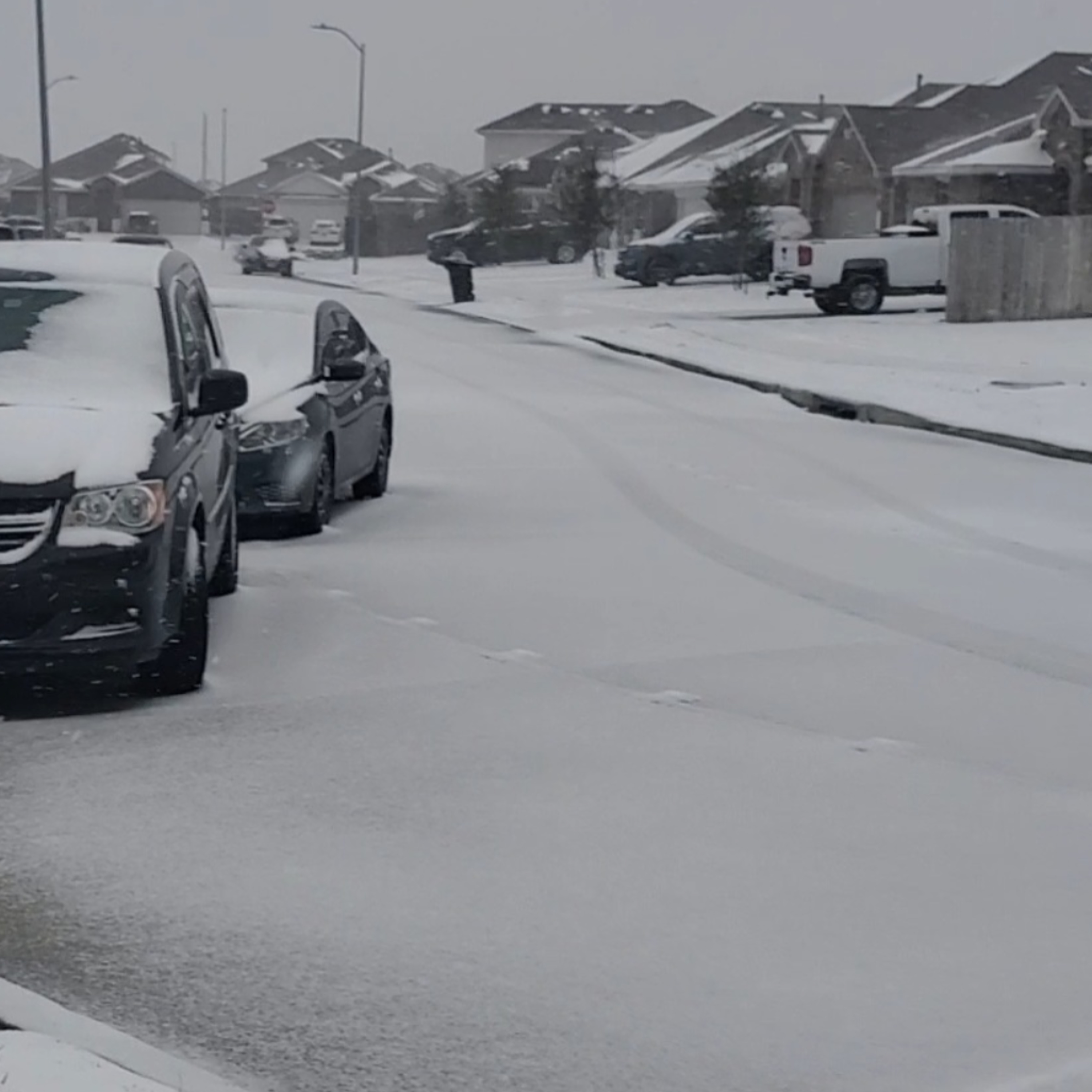 NFC-AFC Championship•Snow in Houston• President Trump•Tik Tok banned  episode artwork