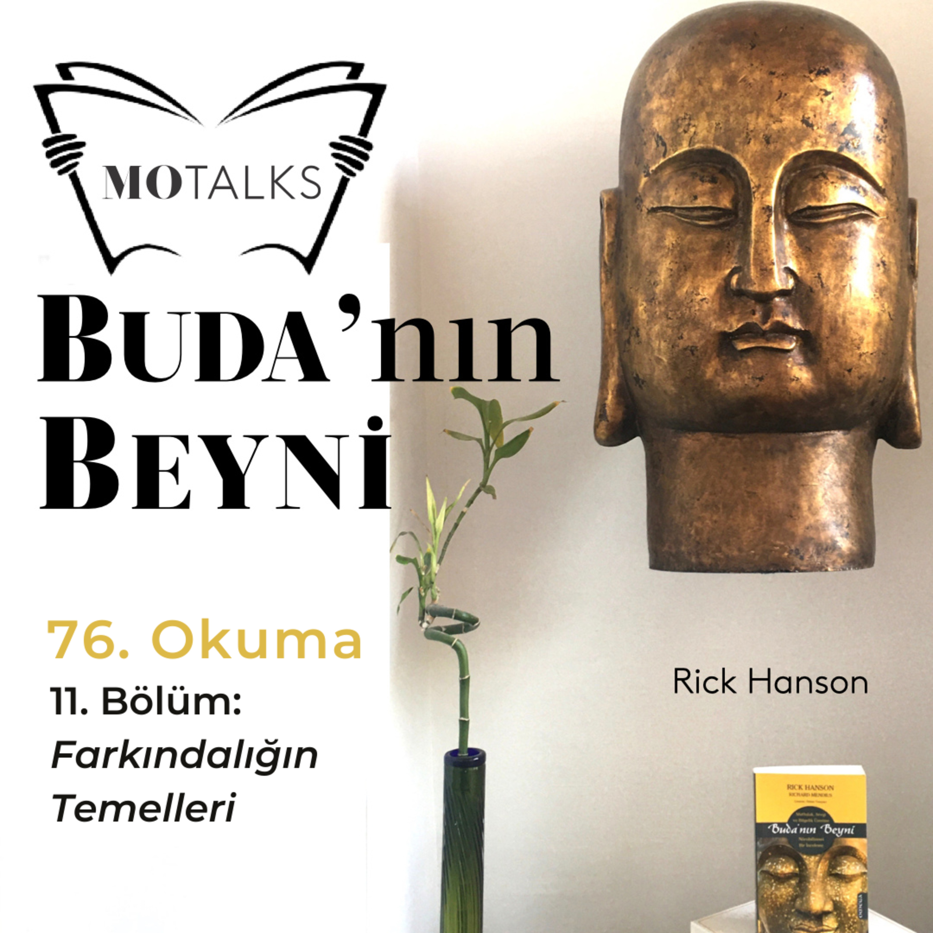 76. Okuma I Buda’nın Beyni: 11. Bölüm - Farkındalığın Temelleri
