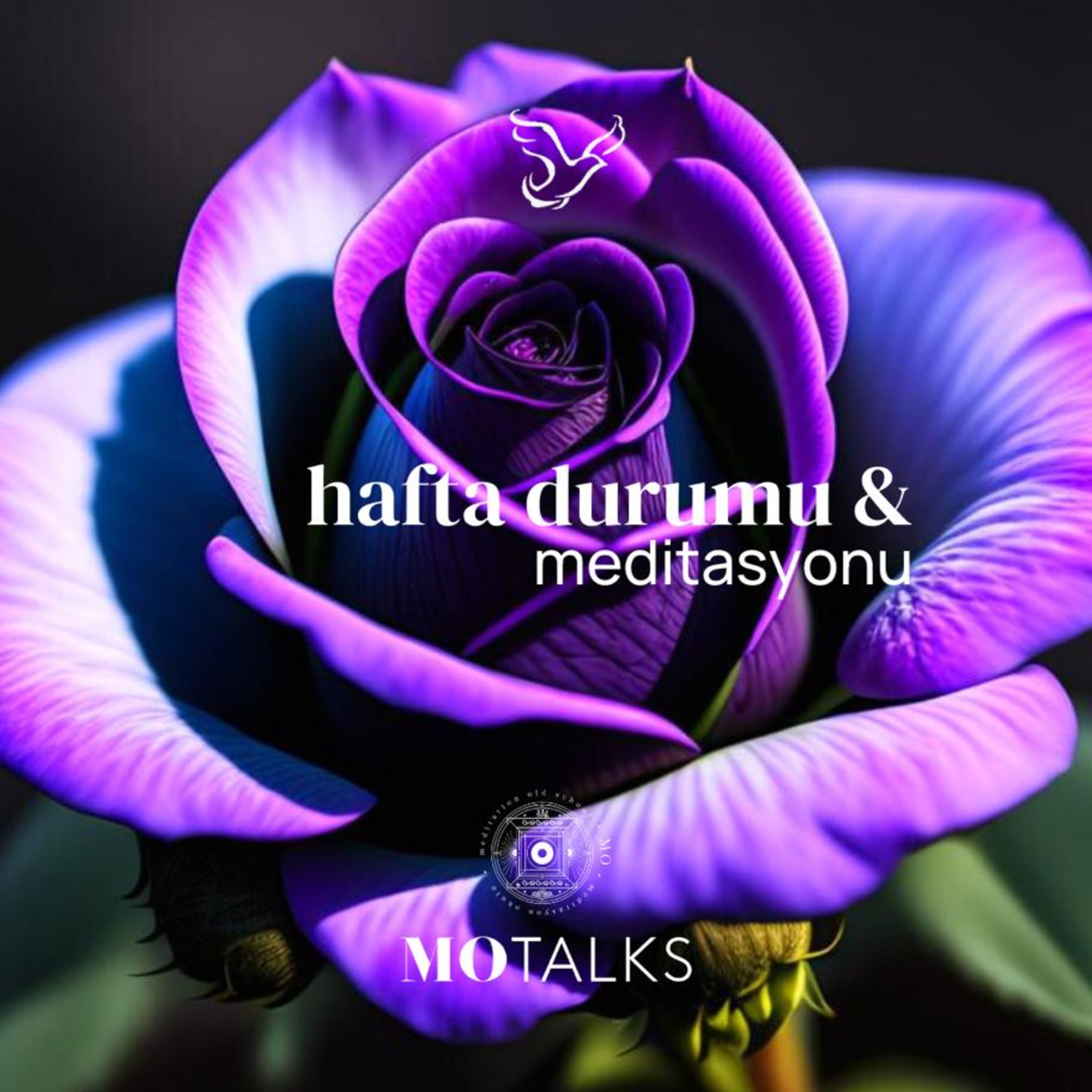 28 Temmuz - 3 Ağustos I Haftanın Durumu & Meditasyonu