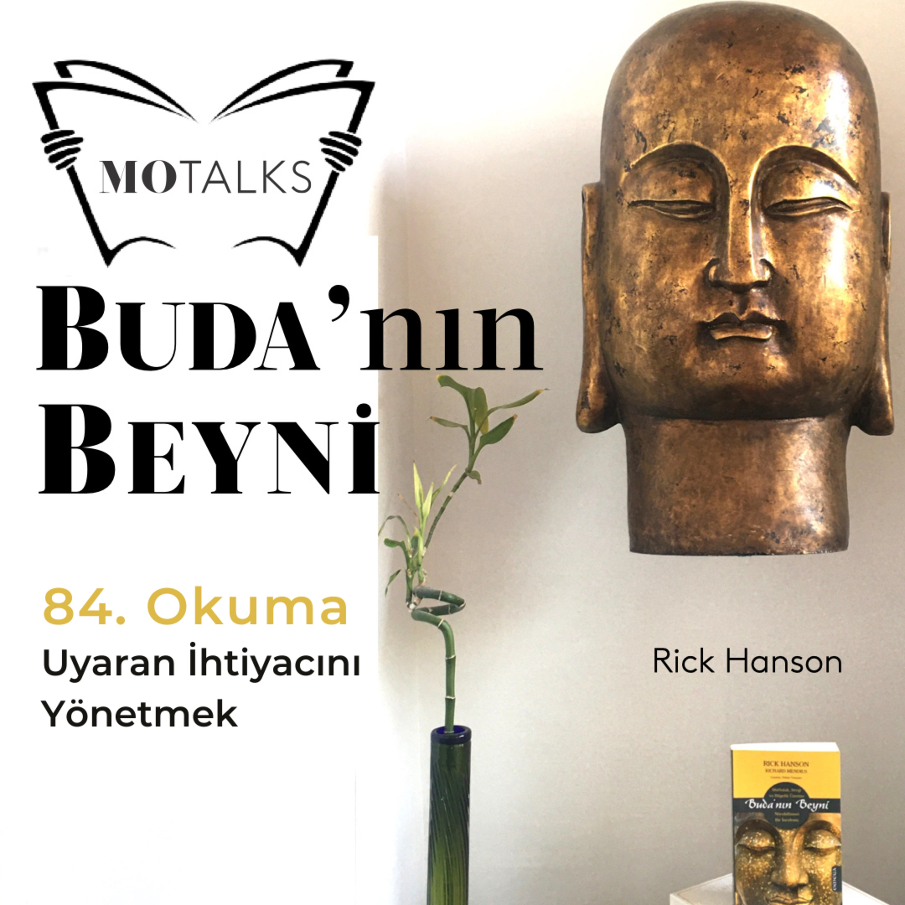 84. Okuma I Buda’nın Beyni: Uyaran İhtiyacını Yönetmek