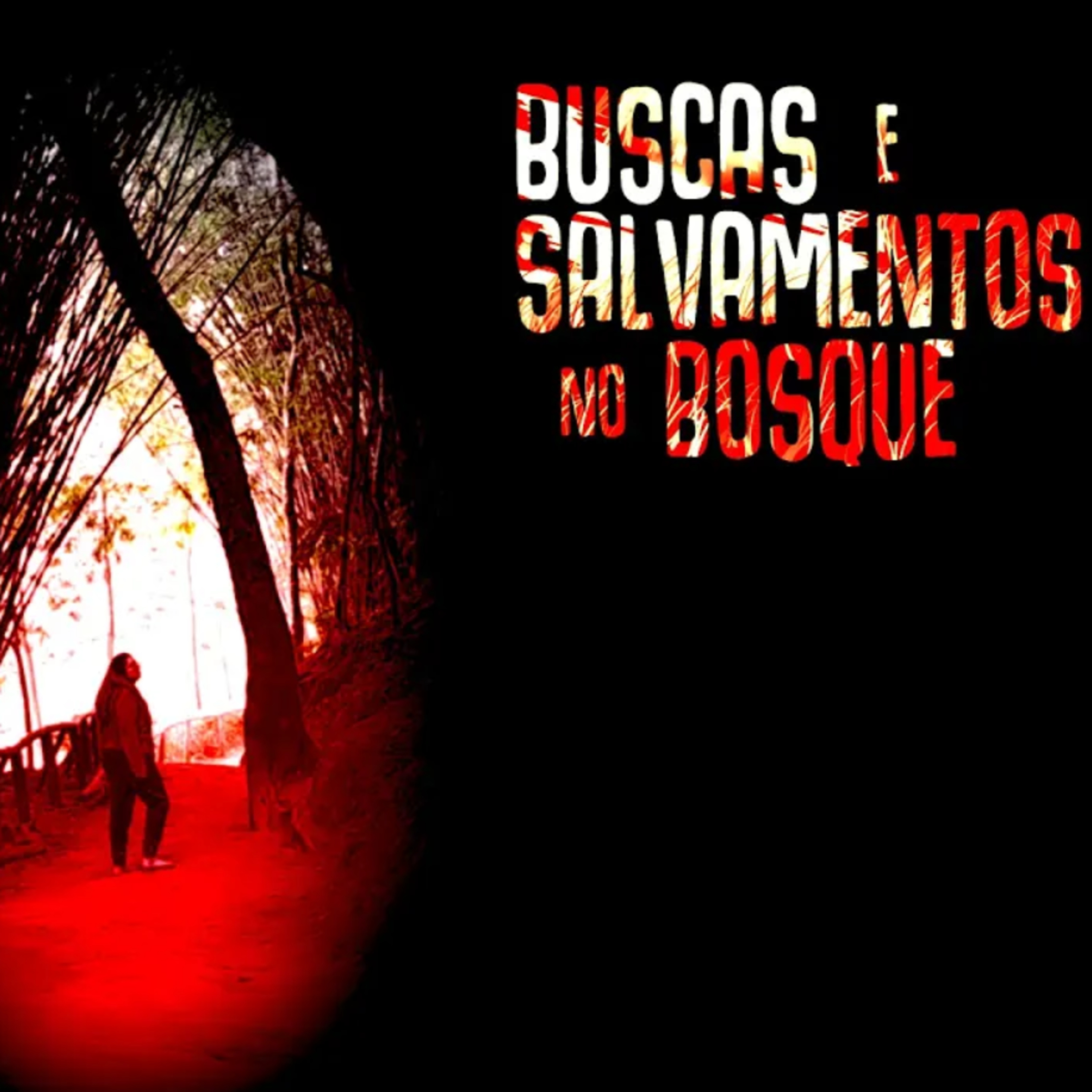 BUSCAS E SALVAMENTOS NO BOSQUE | EP.01 | CREEPYPASTA na TERRA do MEDO episode artwork