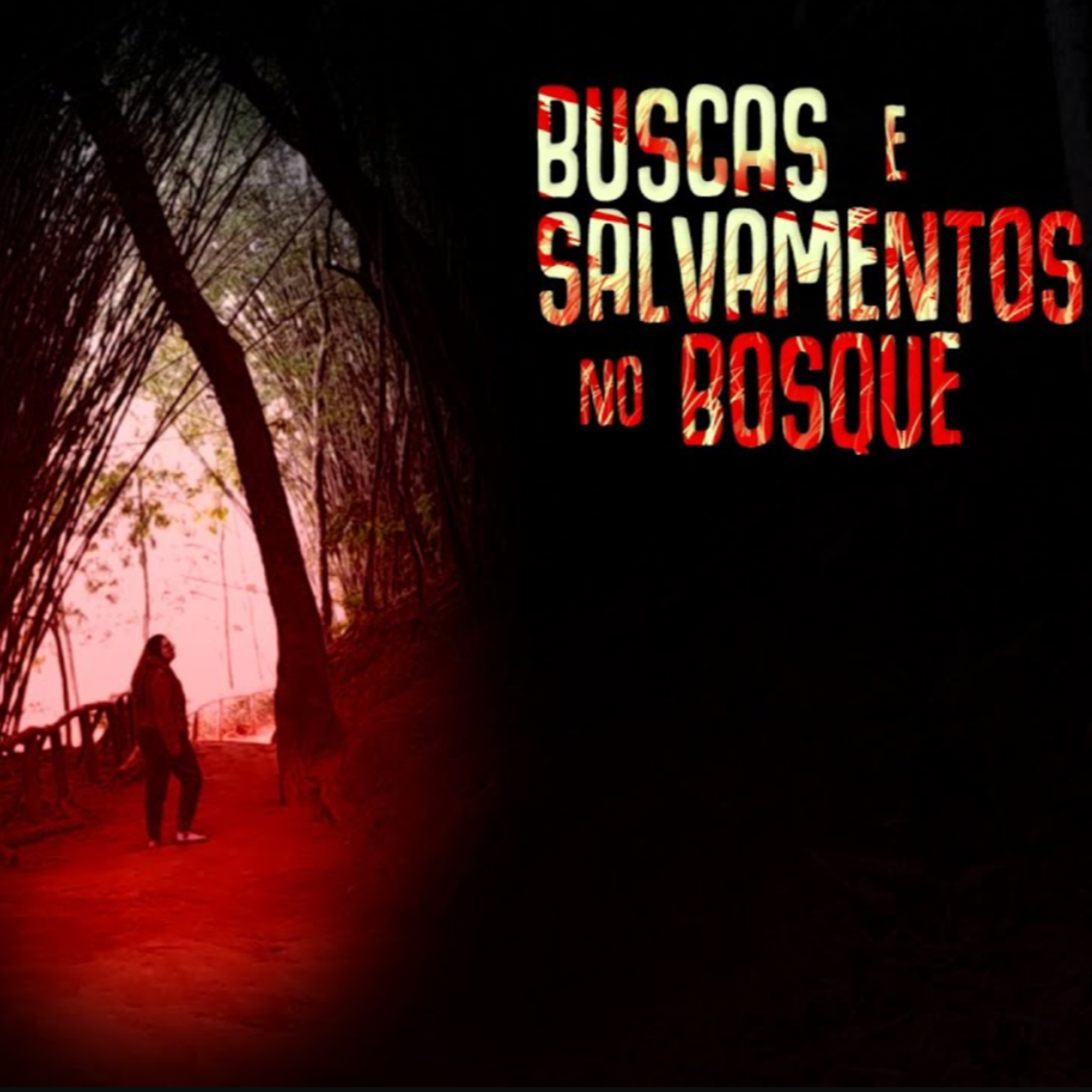 BUSCAS E SALVAMENTOS NO BOSQUE | EP.08 | CREEPYPASTA na TERRA do MEDO episode artwork