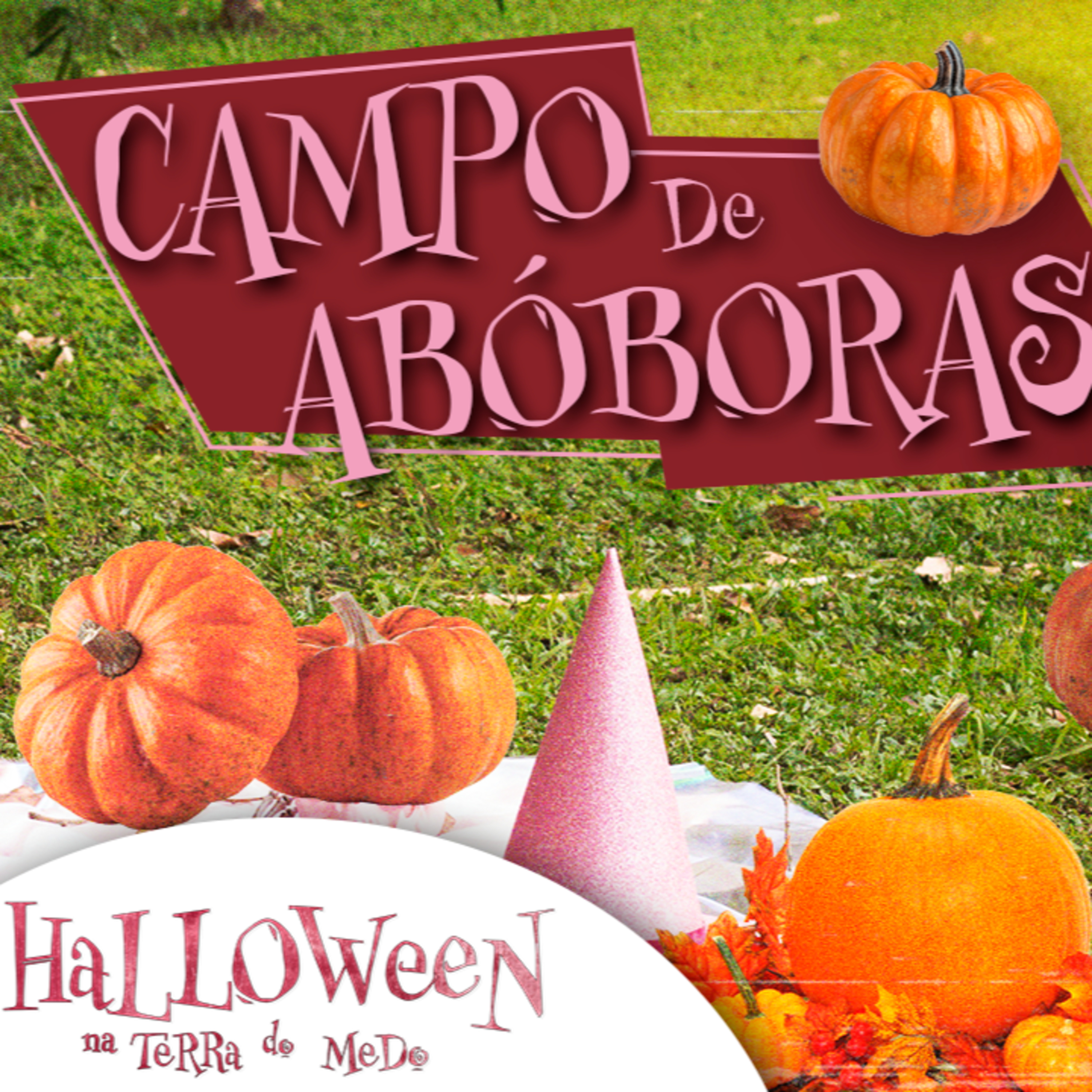 CREEPYPASTA | O ASSUSTADOR CAMPO DE ABÓBORAS DO SR ASHWORTH | Halloween na Terra do Medo
