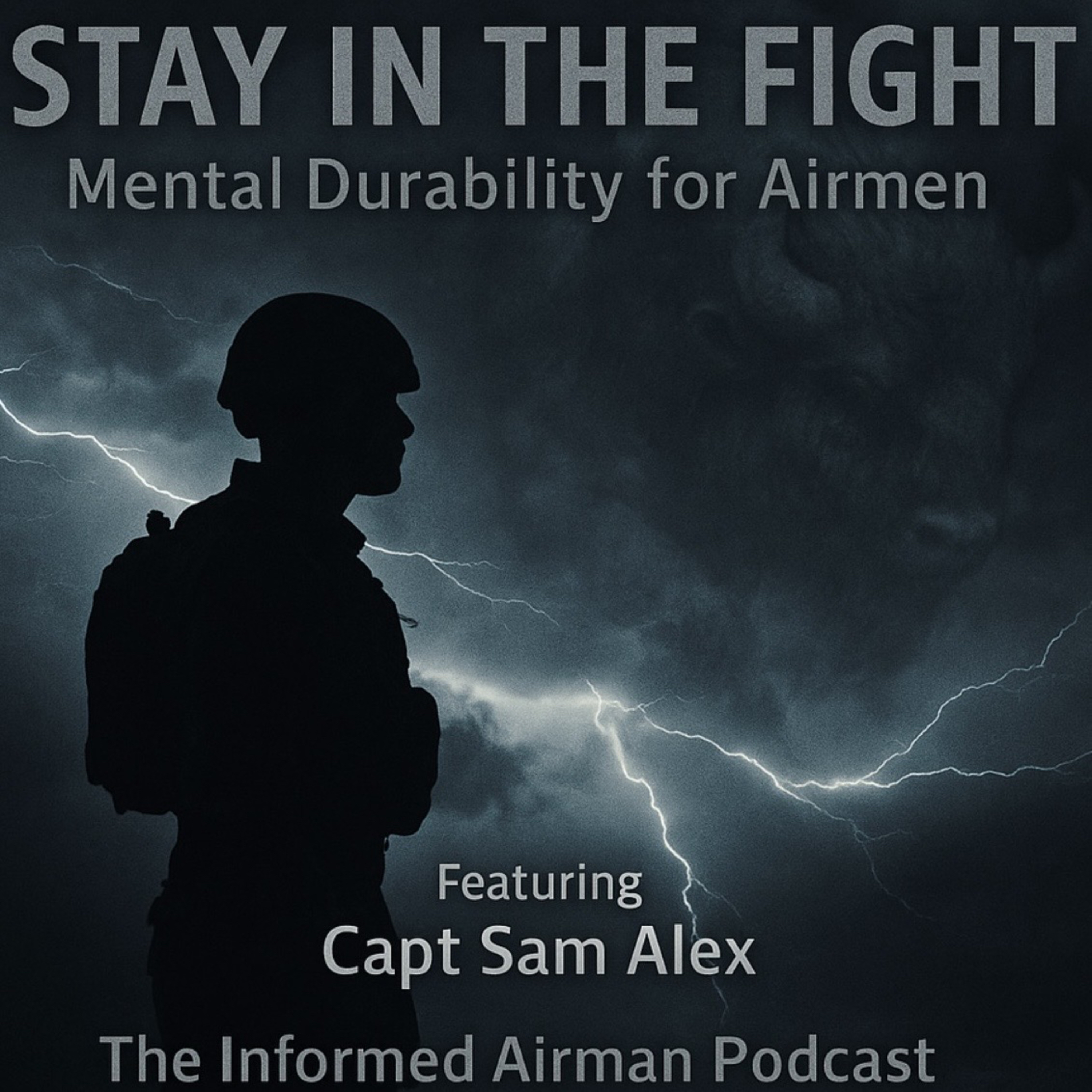 Stay in the Fight: Building Mental Durability for Airmen episode artwork