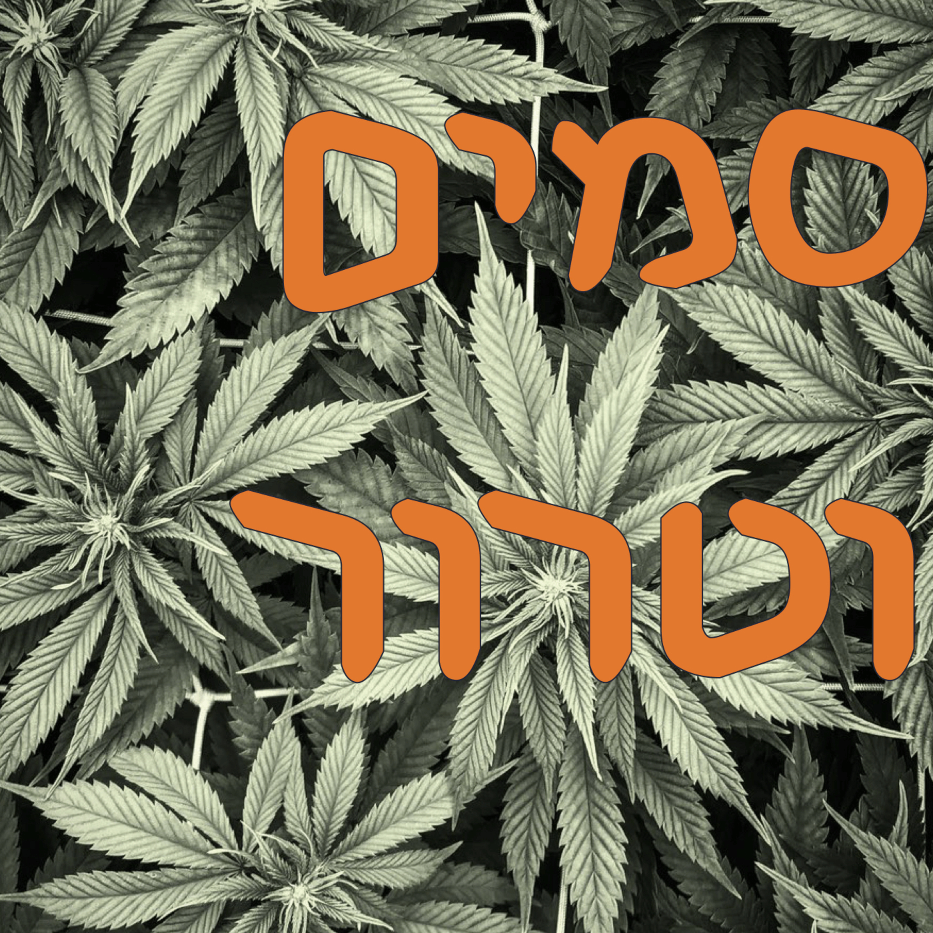  סמים וטרור | המזרח התיכון episode artwork