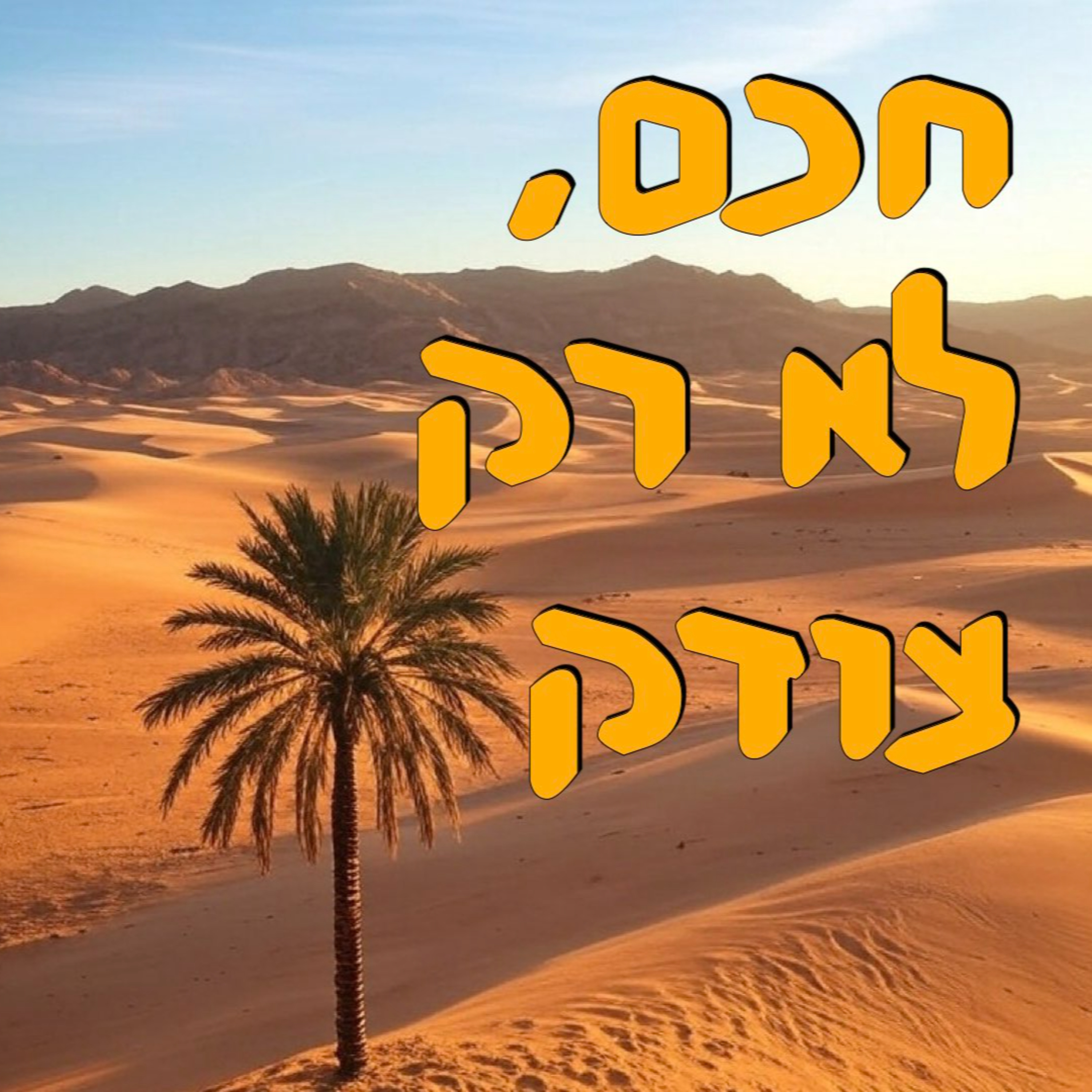חכם, לא רק צודק | אלכס גרינברג | המזרח התיכון episode artwork