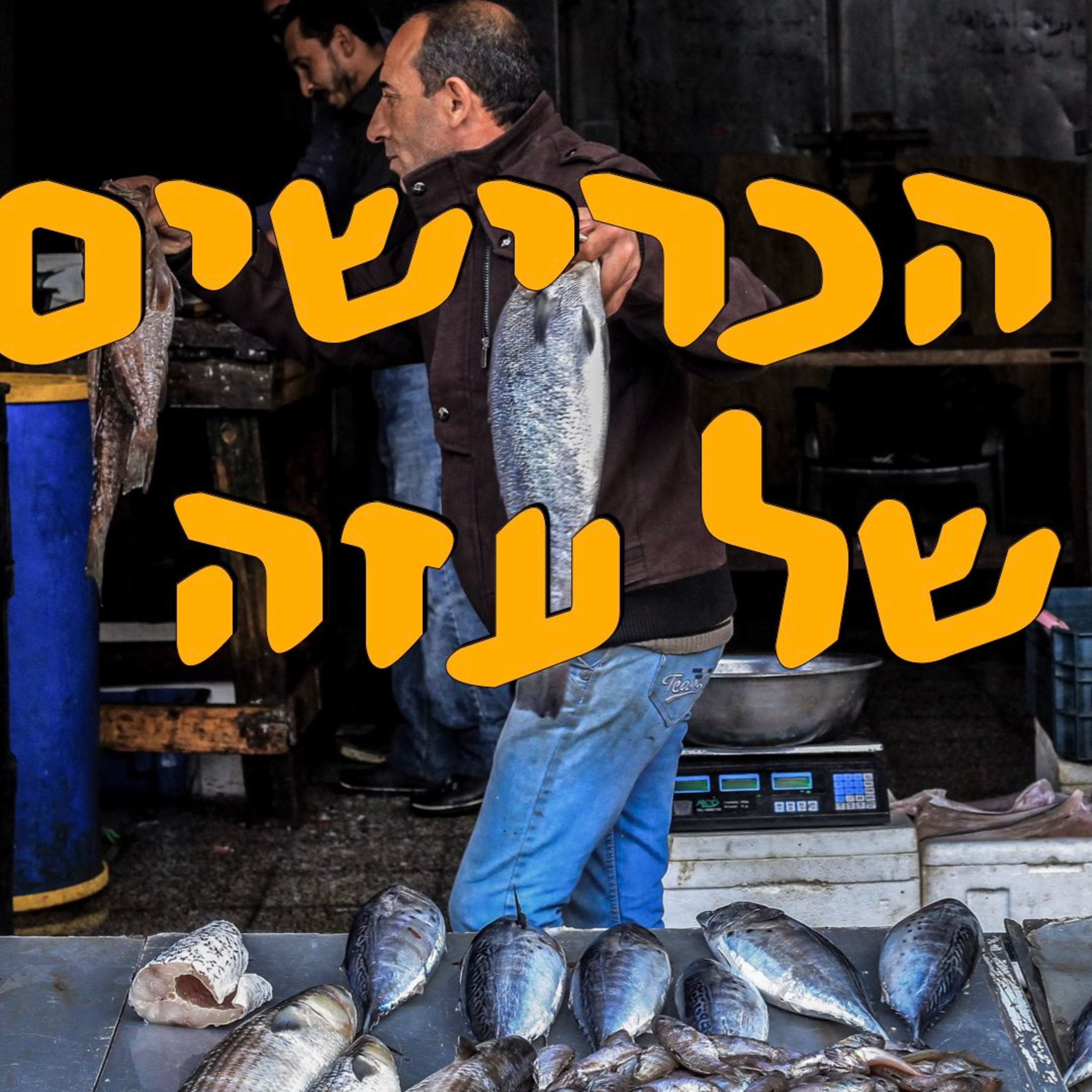 הכרישים של עזה | ראם נרי | המזרח התיכון episode artwork