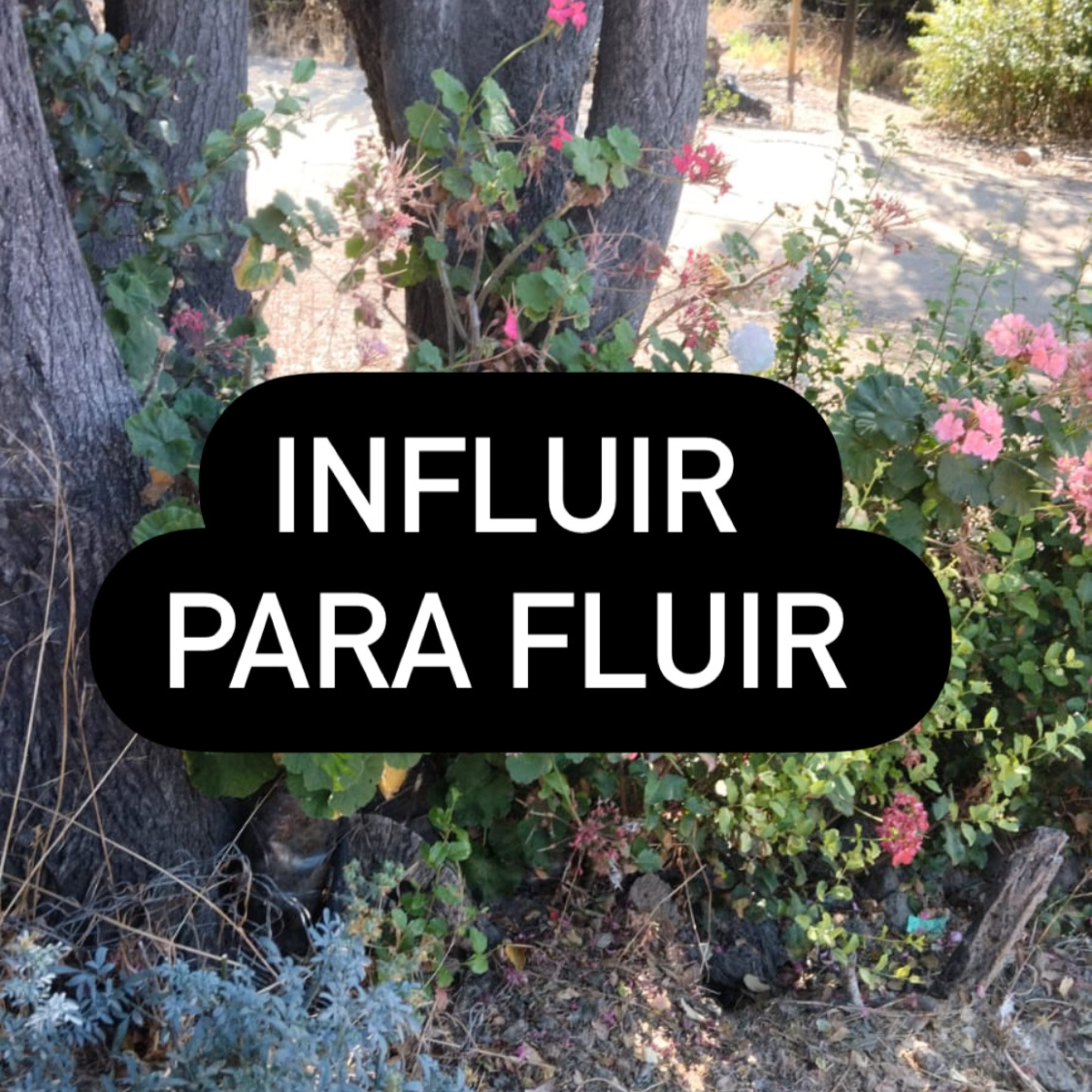 influir para fluir