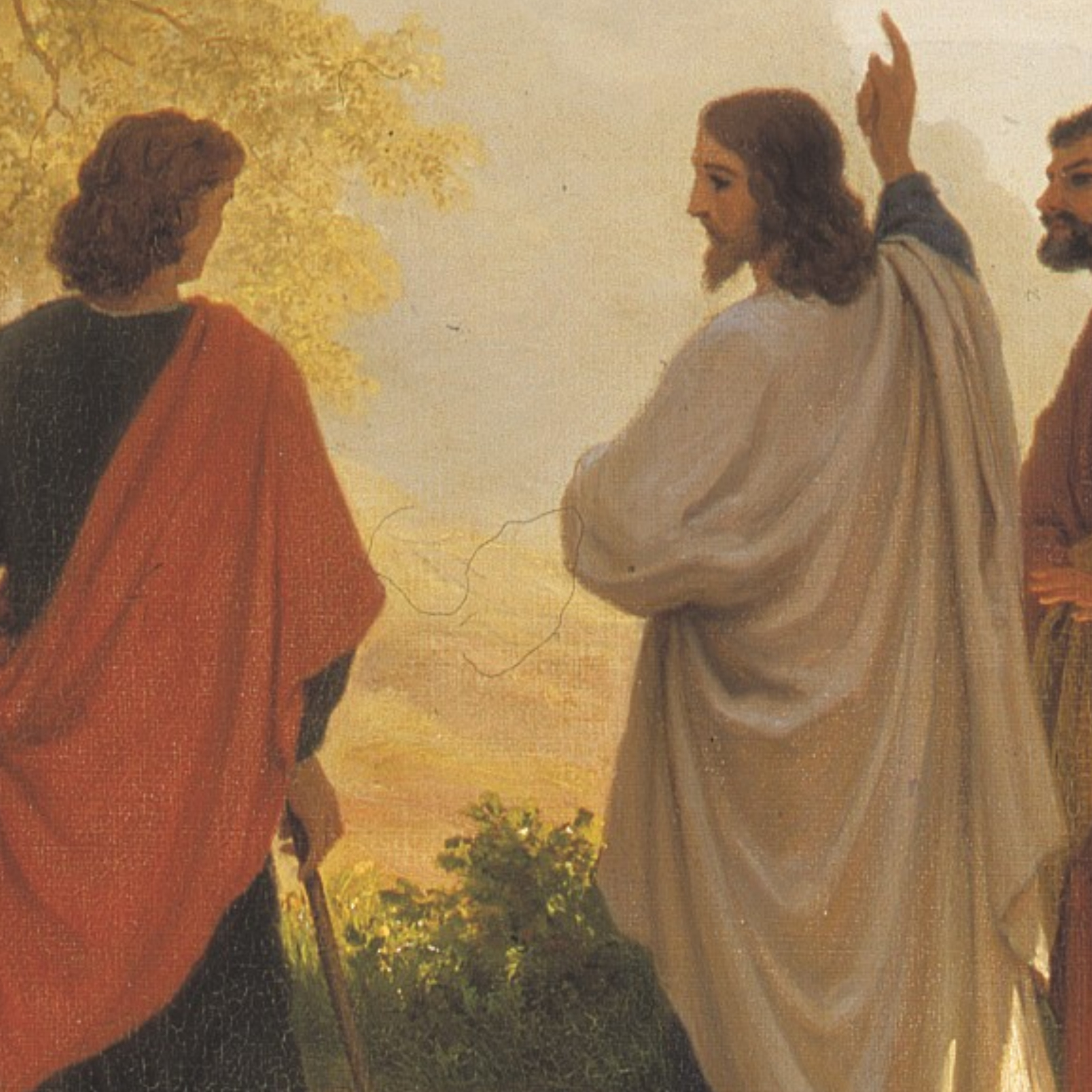 Evangelio del Día