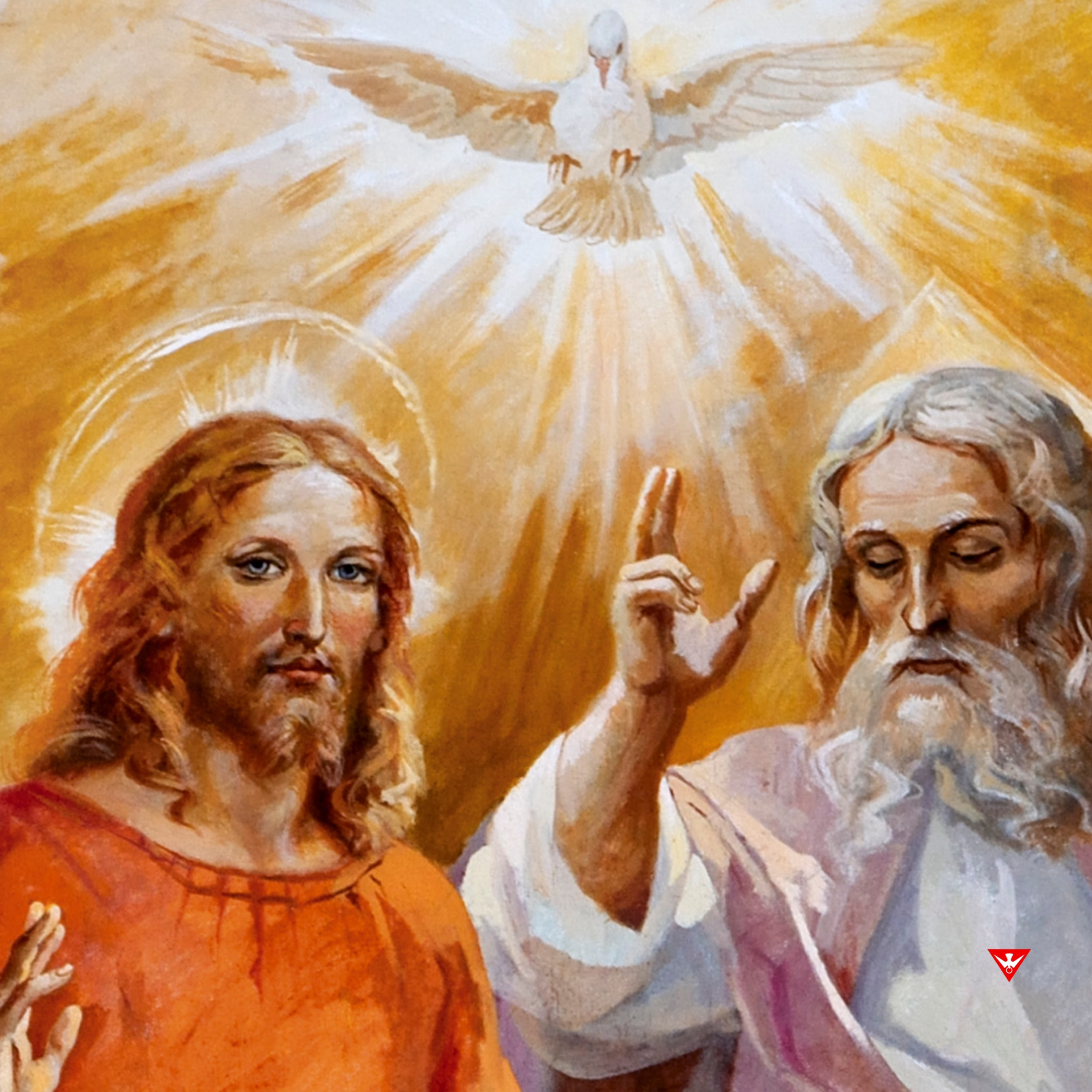 Reflexión del Evangelio del 09 de Julio de 2023 episode artwork