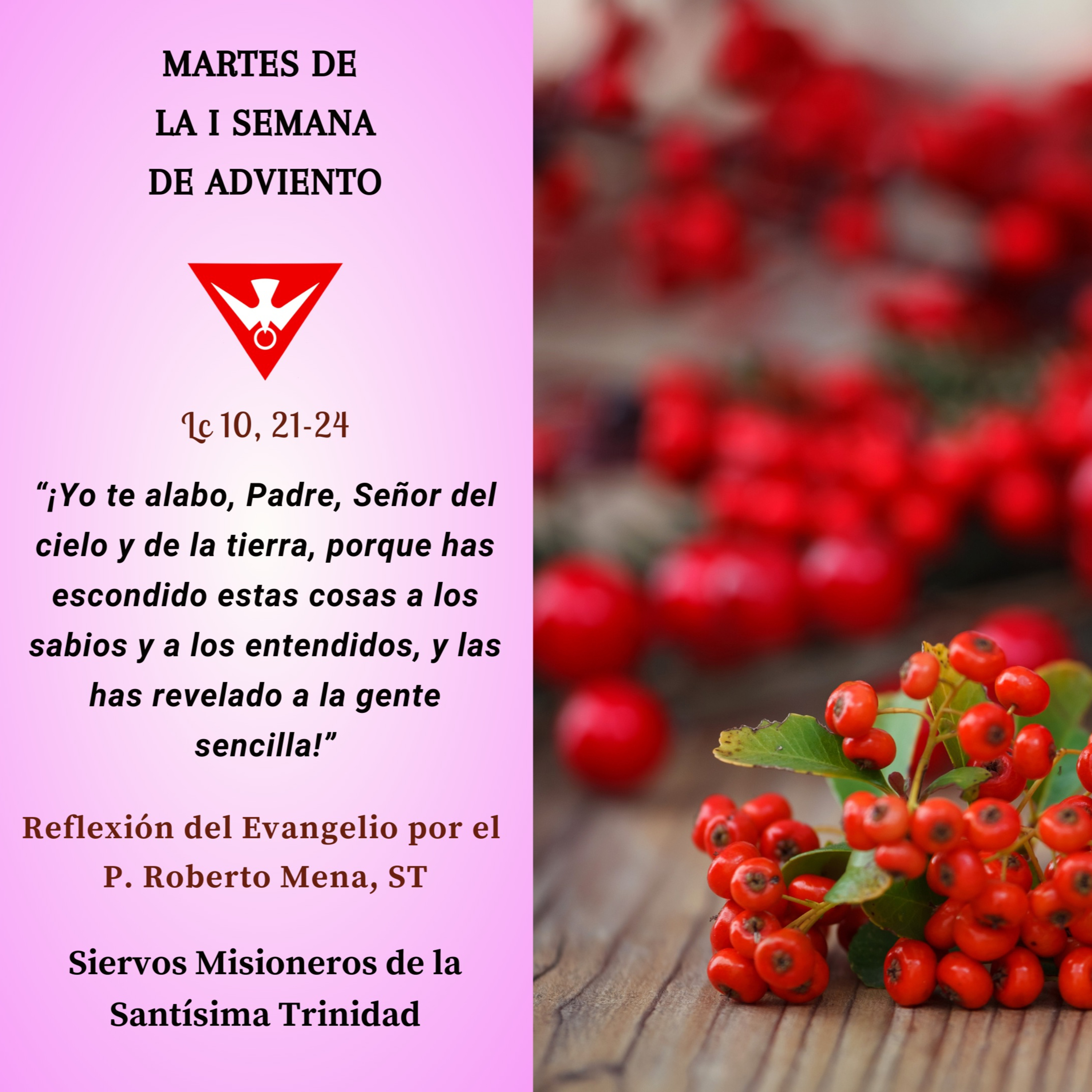 Reflexión del Evangelio del 05 de Diciembre de 2023 episode artwork