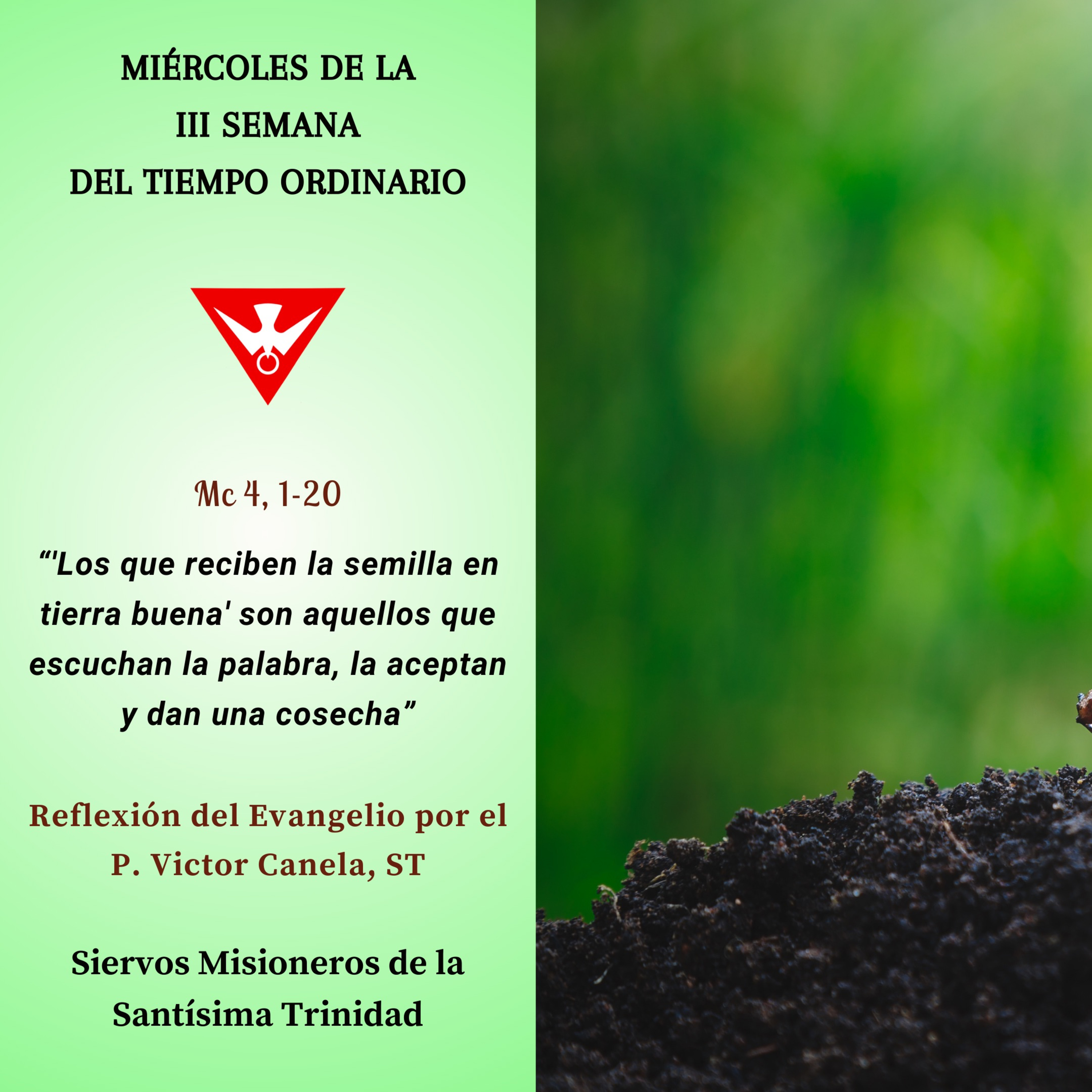 Evangelio del Día