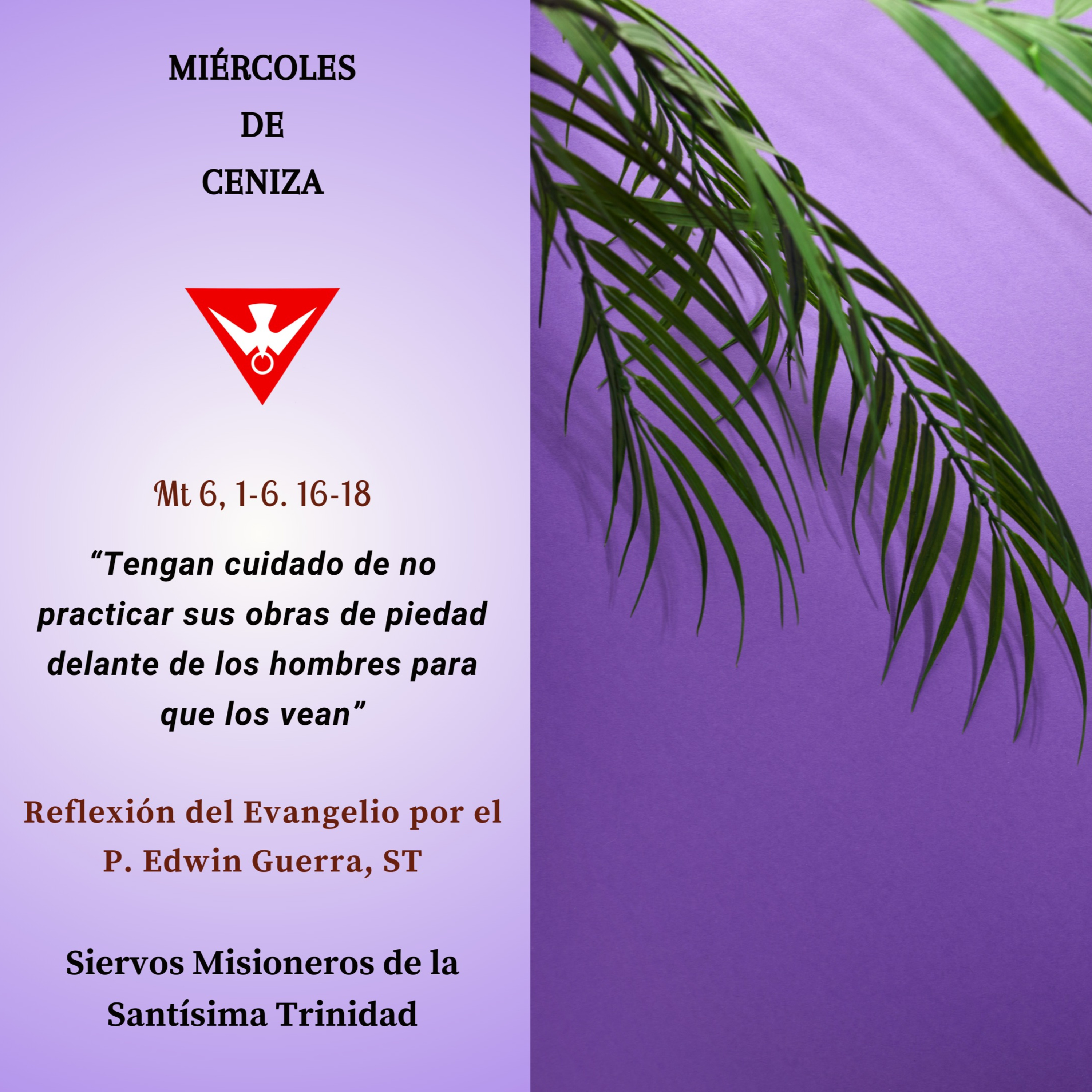 Reflexión del Evangelio del 14 de Febrero de 2024 episode artwork