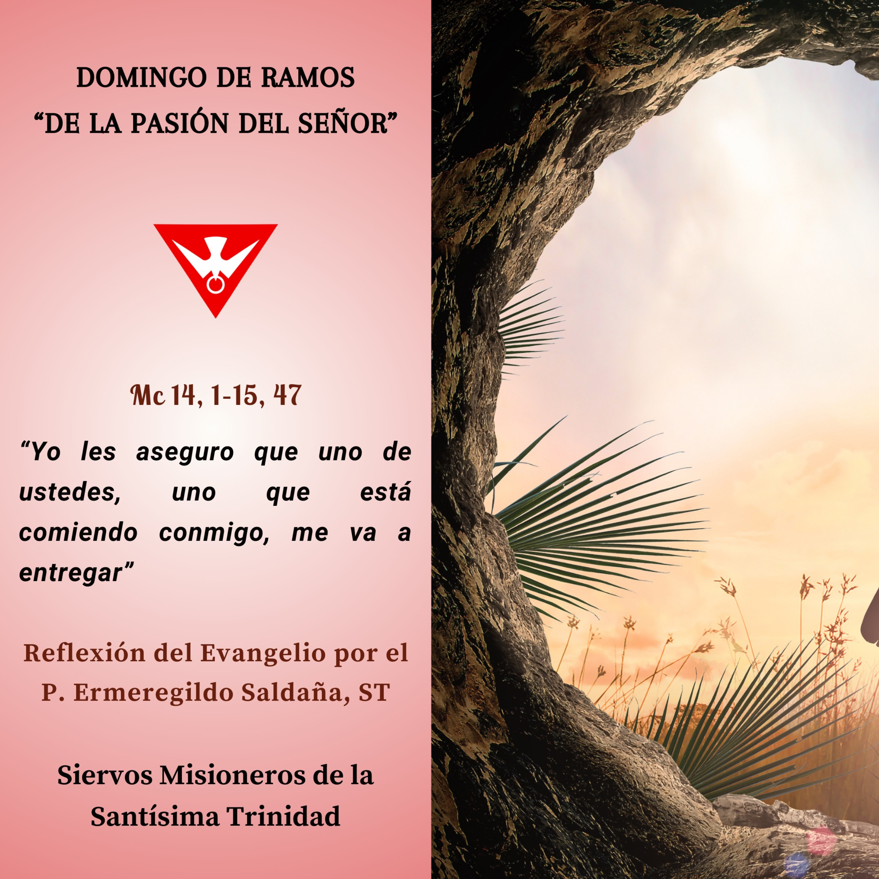 Evangelio del Día