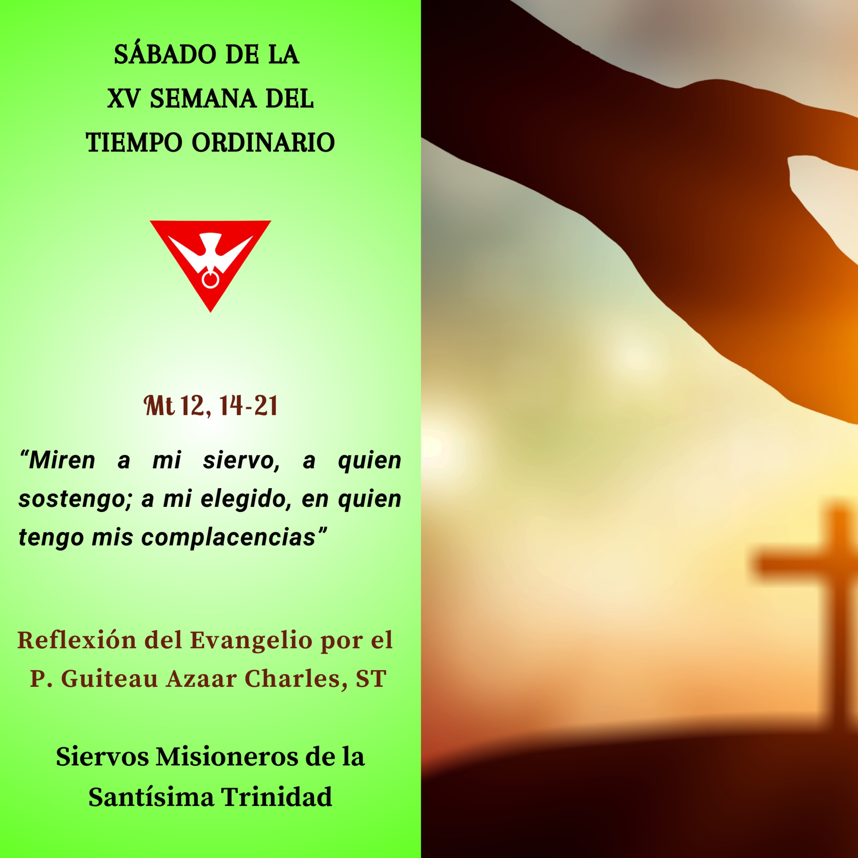 Reflexión del Evangelio del 20 de Julio de 2024 episode artwork