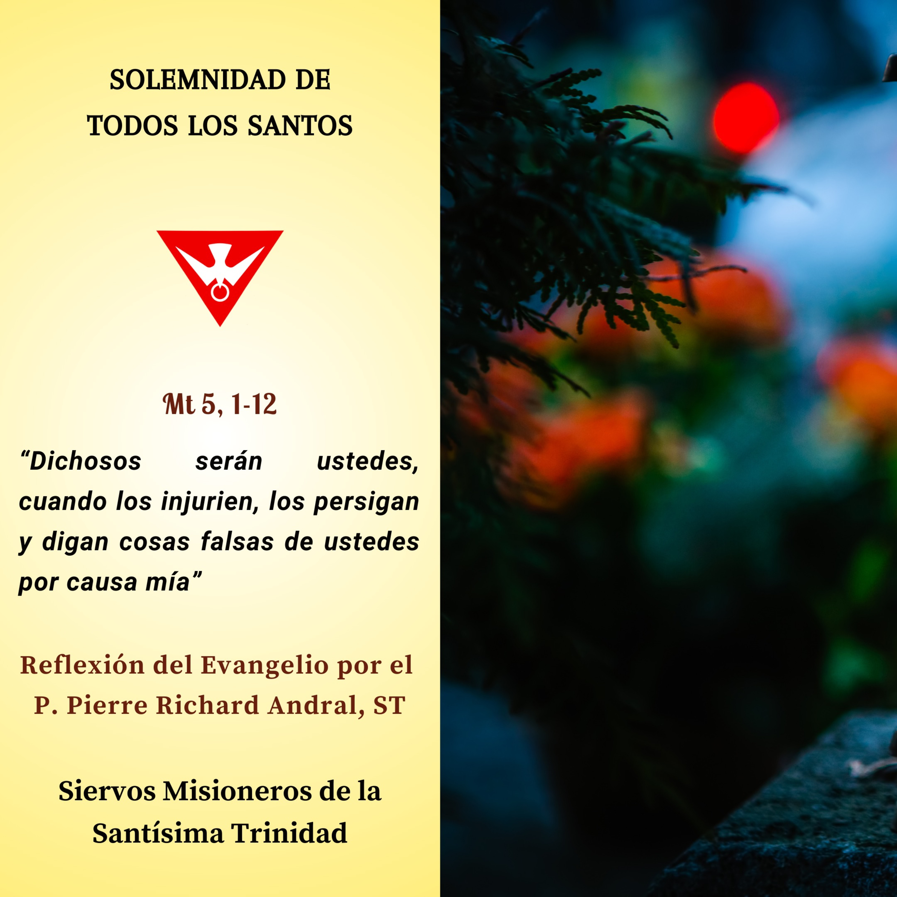 Reflexión del Evangelio del 01 de Noviembre de 2024 episode artwork