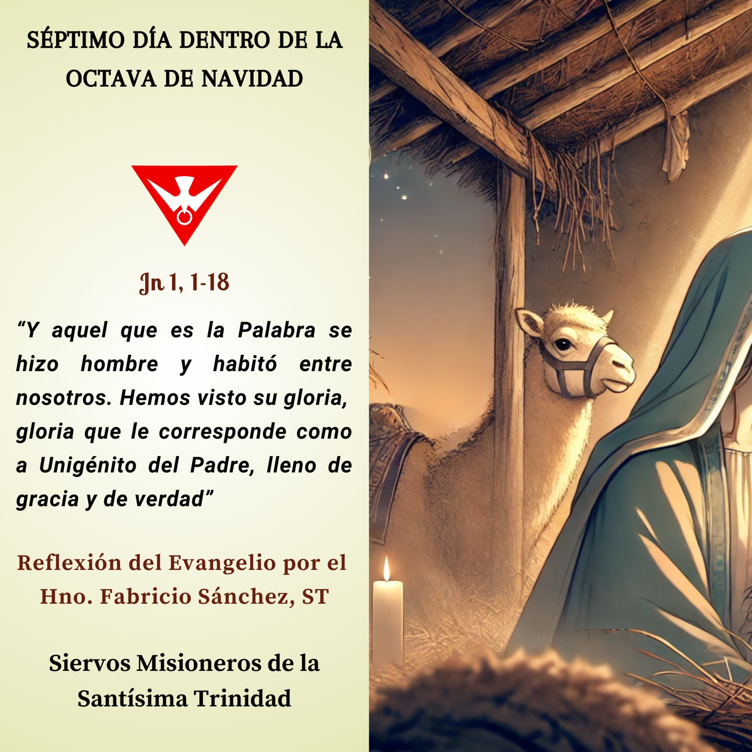 Reflexión del Evangelio del 31 de Diciembre de 2024 episode artwork
