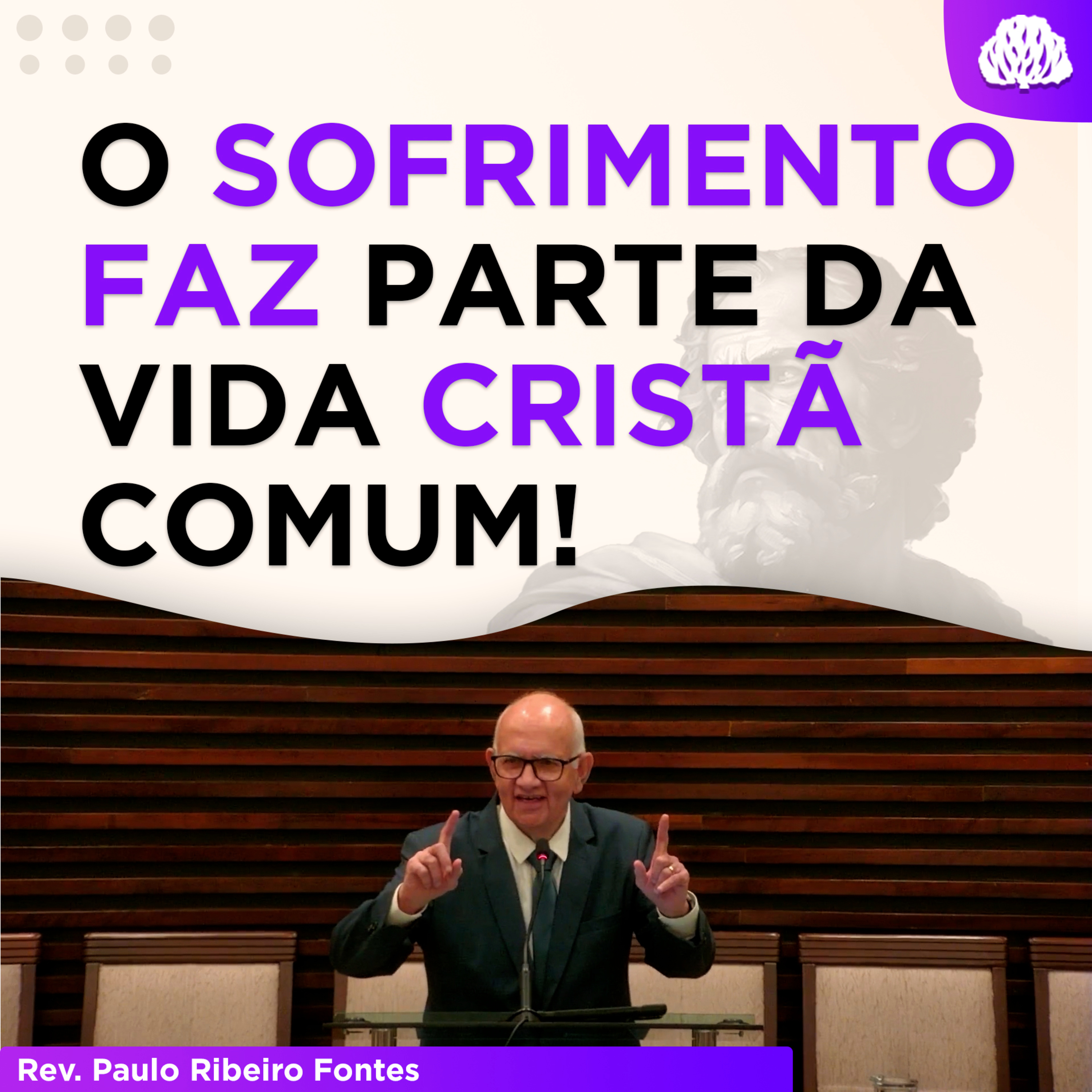 COMO O CRISTÃO DEVE ENCARAR O SOFRIMENTO | Sermões em 1Pedro #26 - Rev. Paulo Fontes