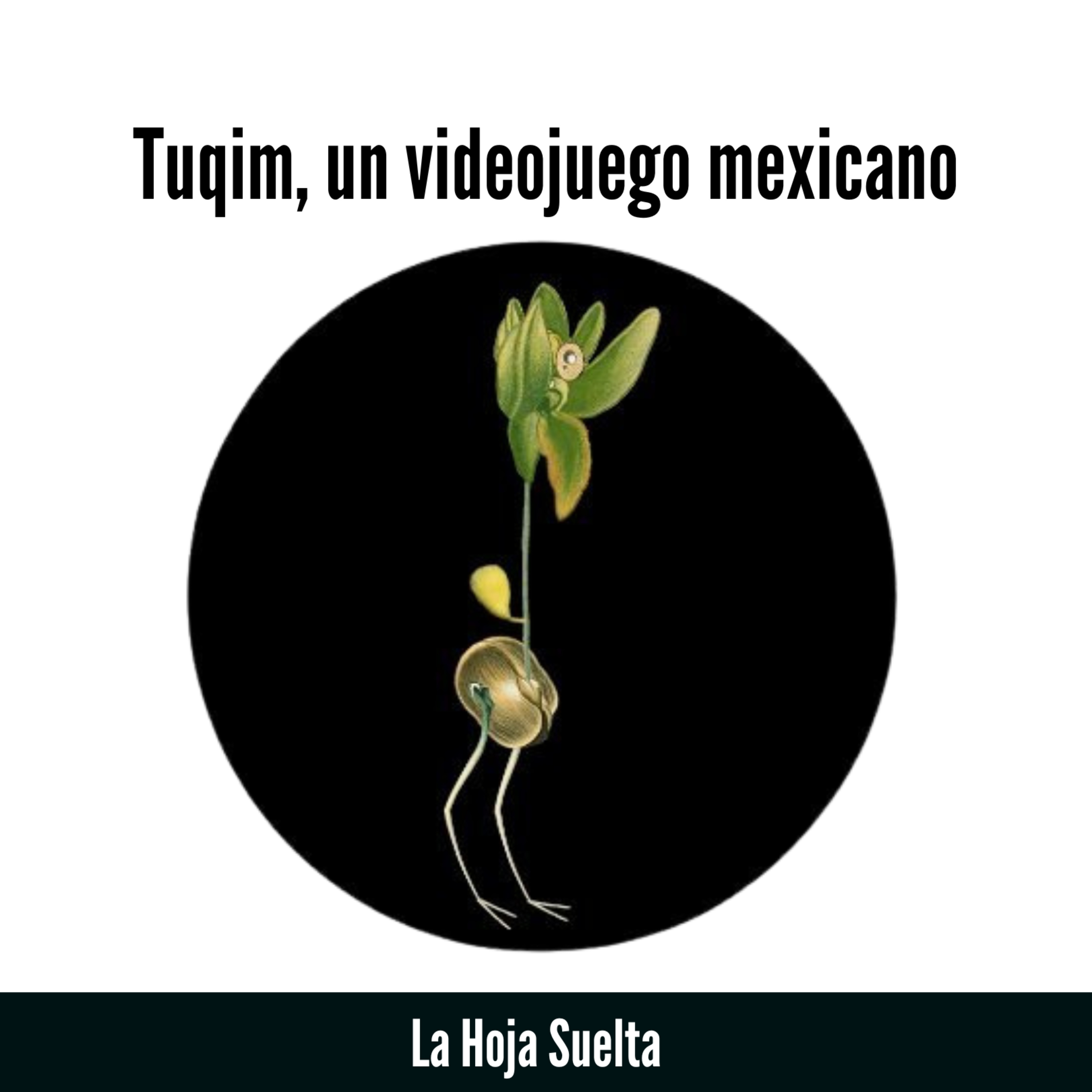 Libreta Negra Mx