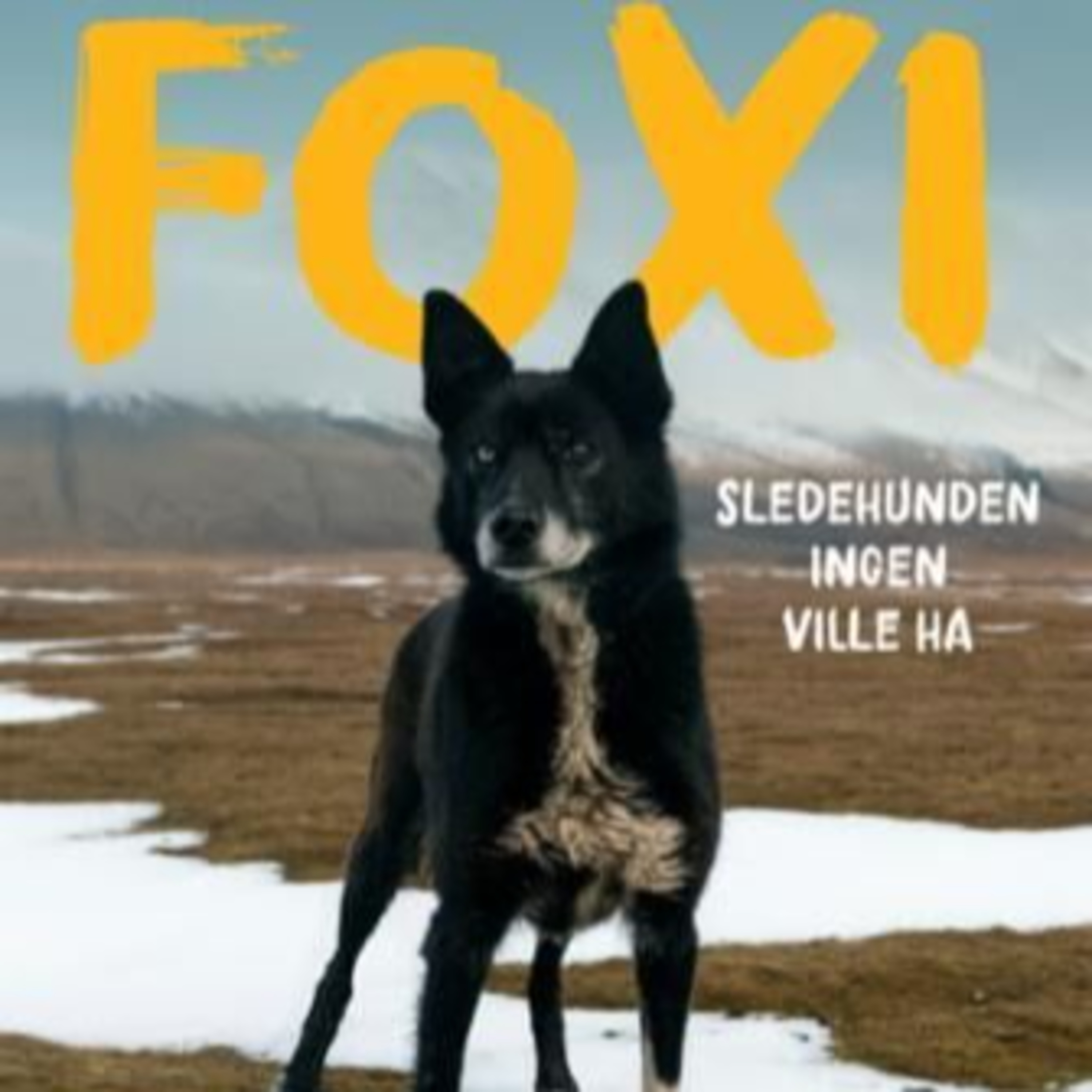 Bokfriminuttet #110 Foxi - sledehunden ingen ville ha episode artwork