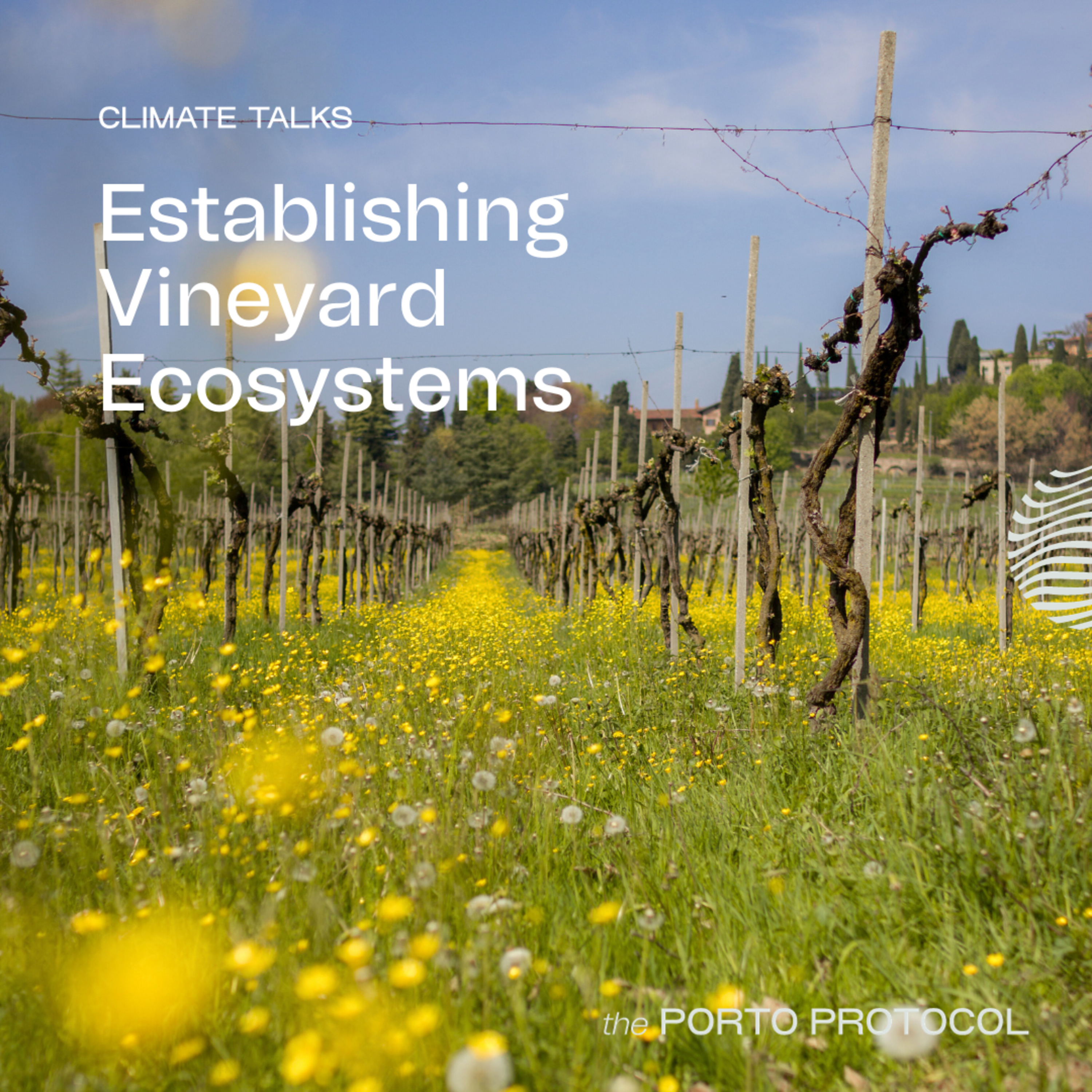 Establishing Vineyard Ecosystems episode artwork