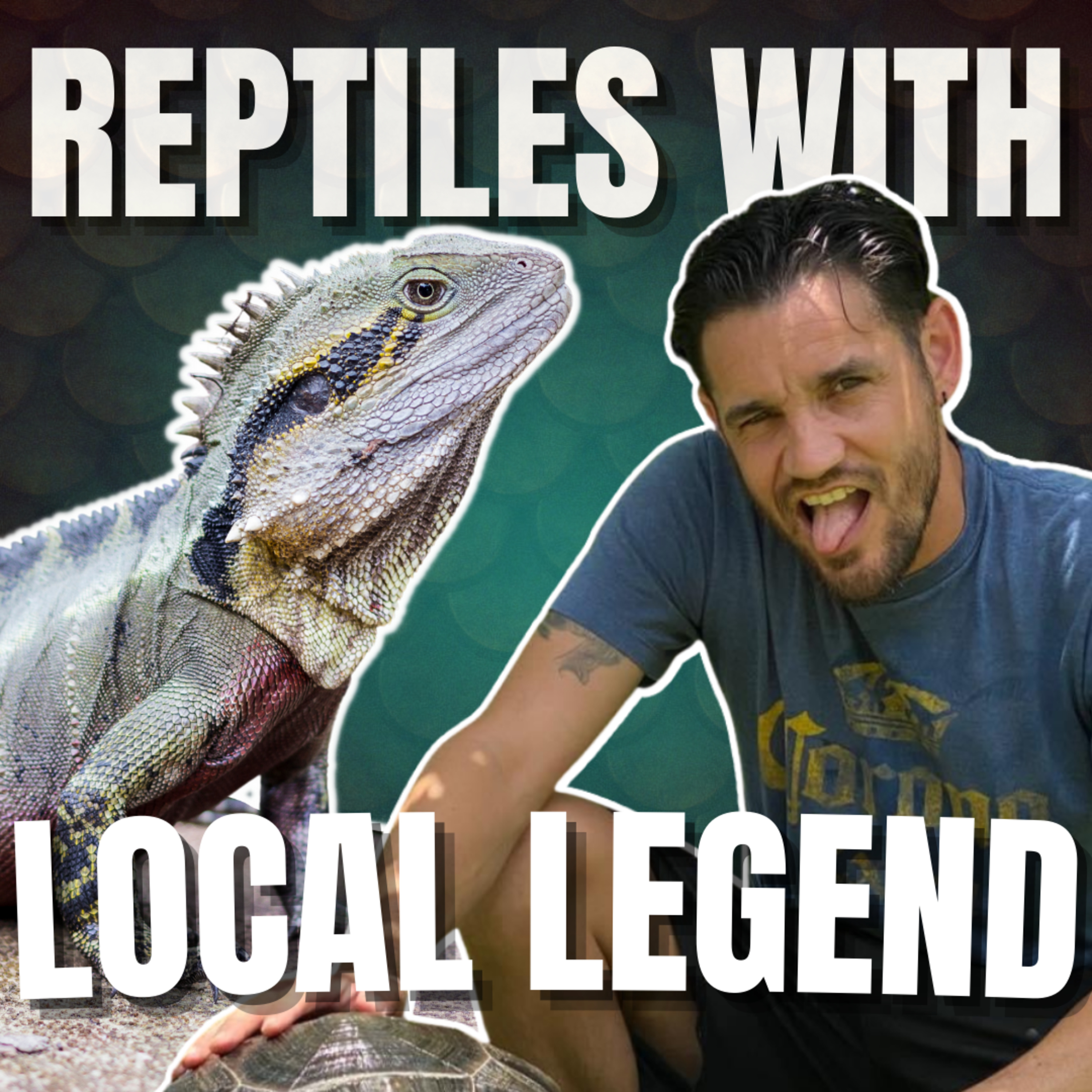 Reptiles With