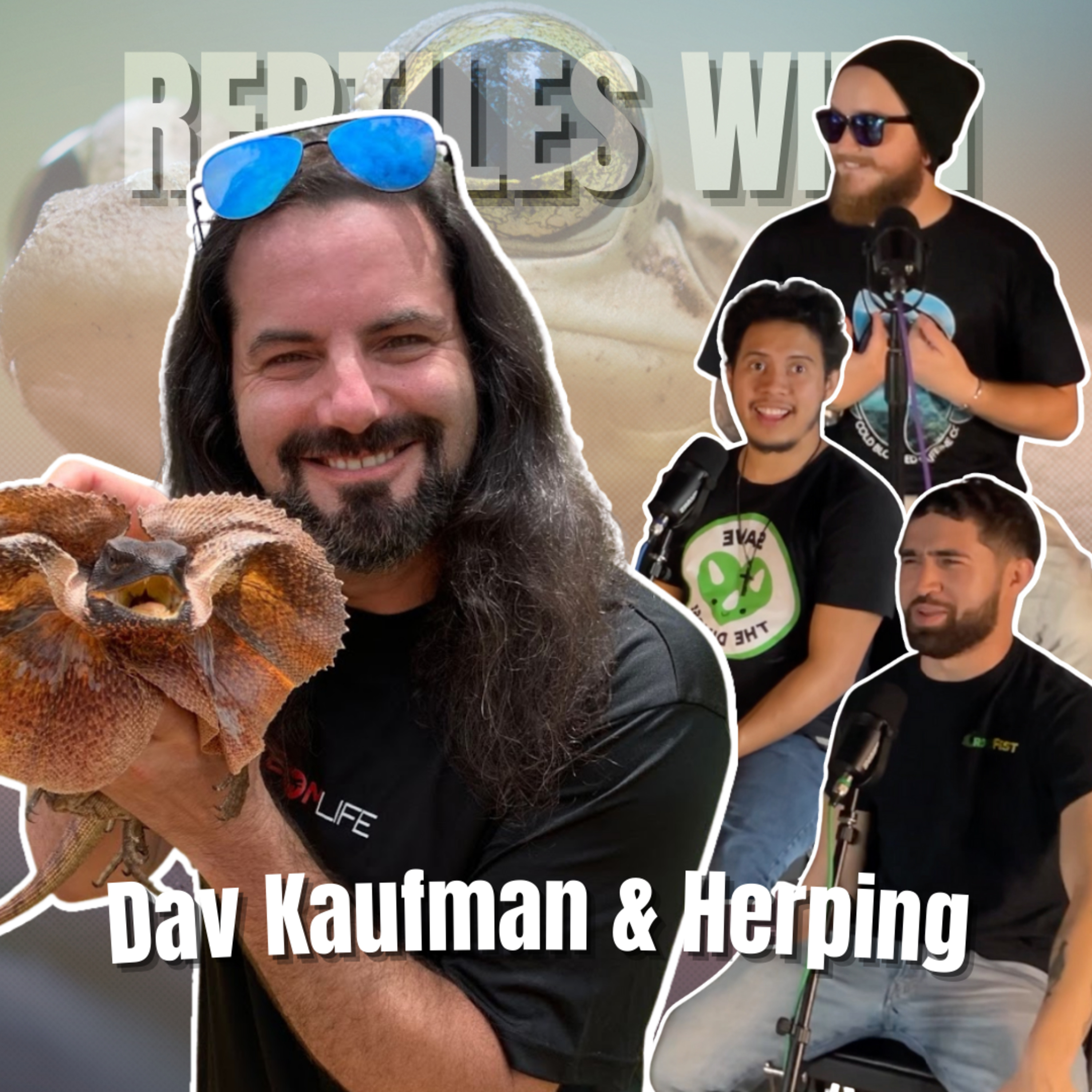 Reptiles With