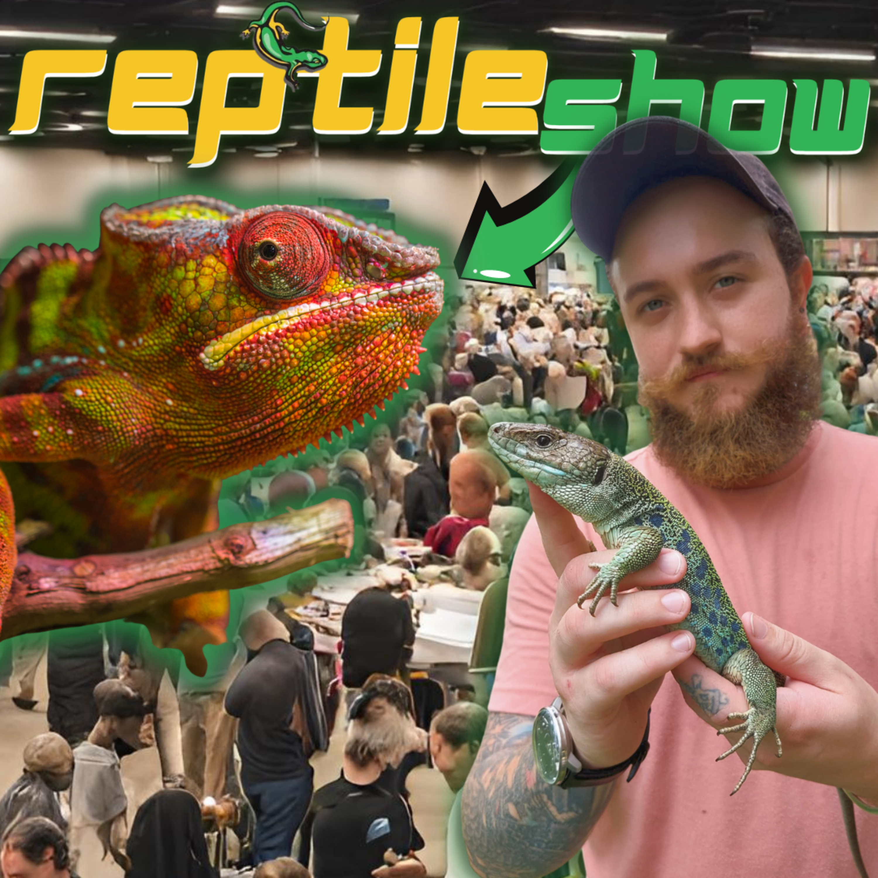 Reptiles With