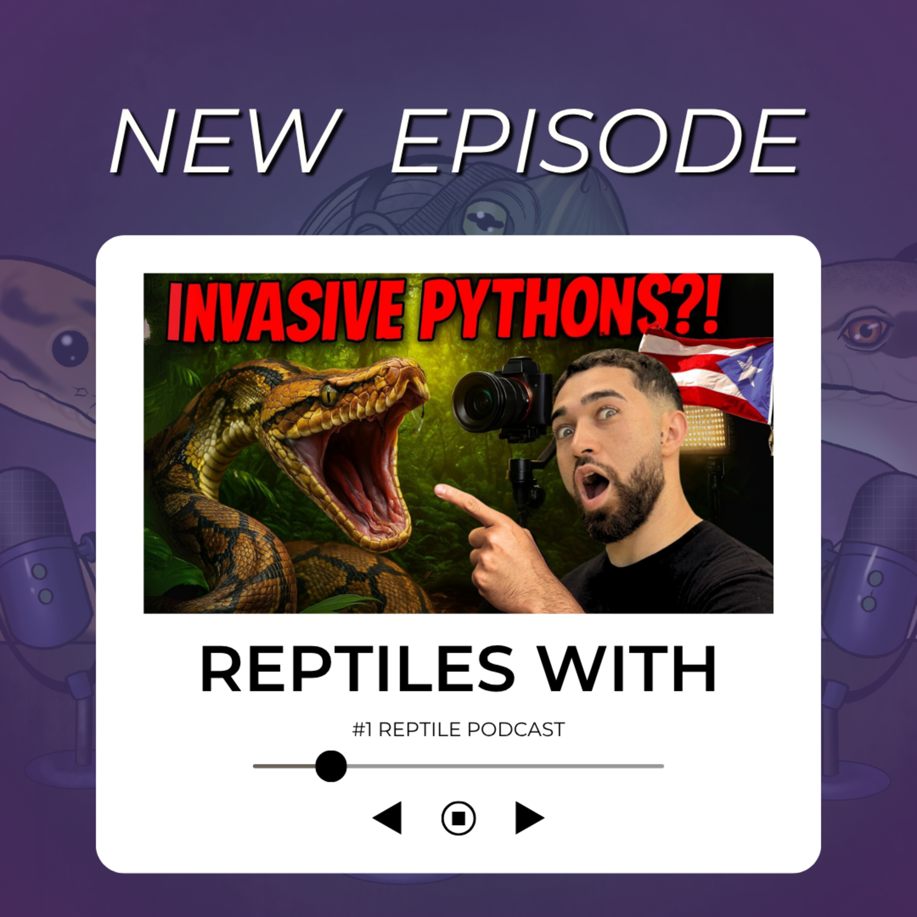I HUNTED INVASIVE RETICULATED PYTHONS in Puerto Rico & Filmed a Documentary | Reptiles With Podcast