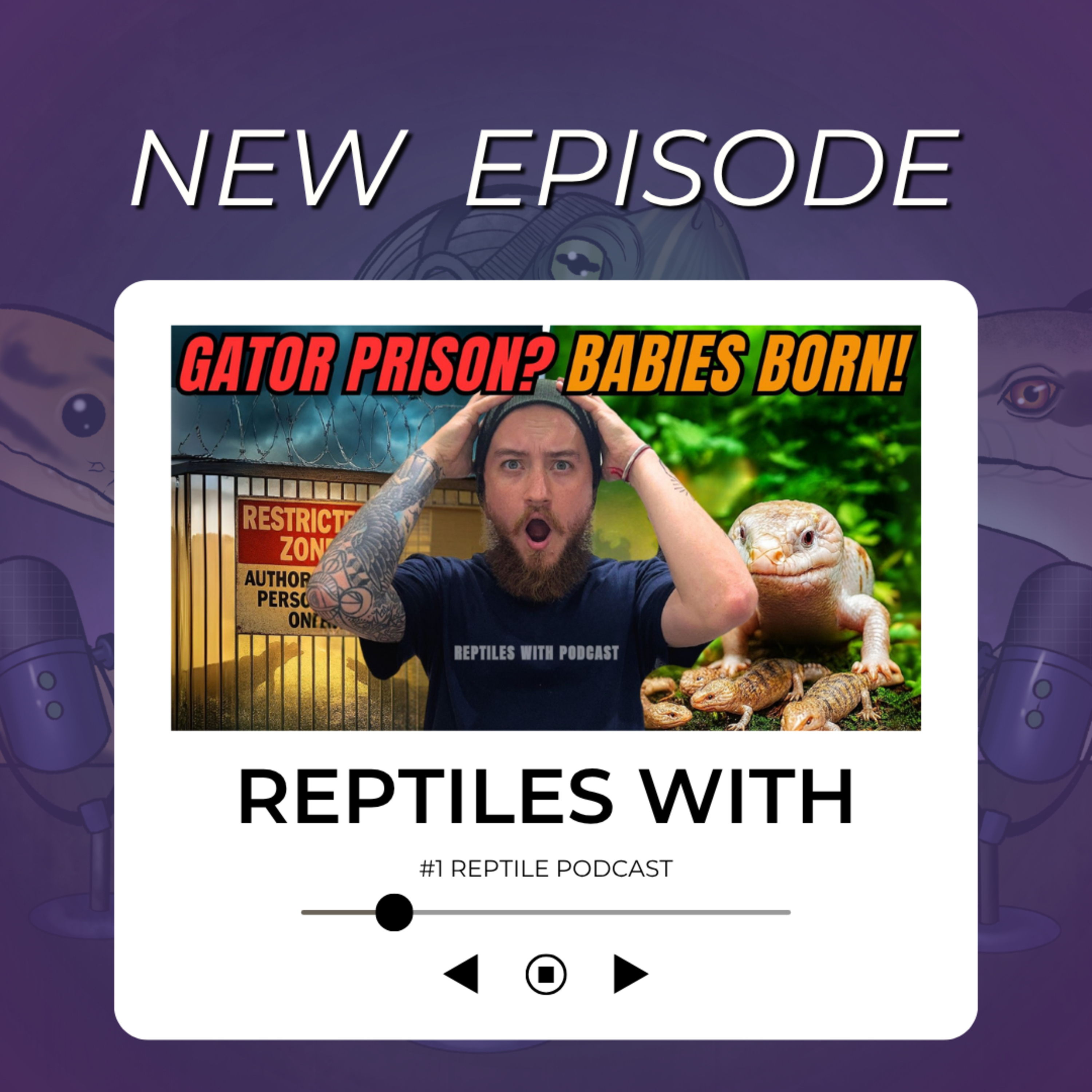 Alligator Alcatraz Controversy, Breeding Updates, & New Pit Viper Found! | Reptiles With Podcast