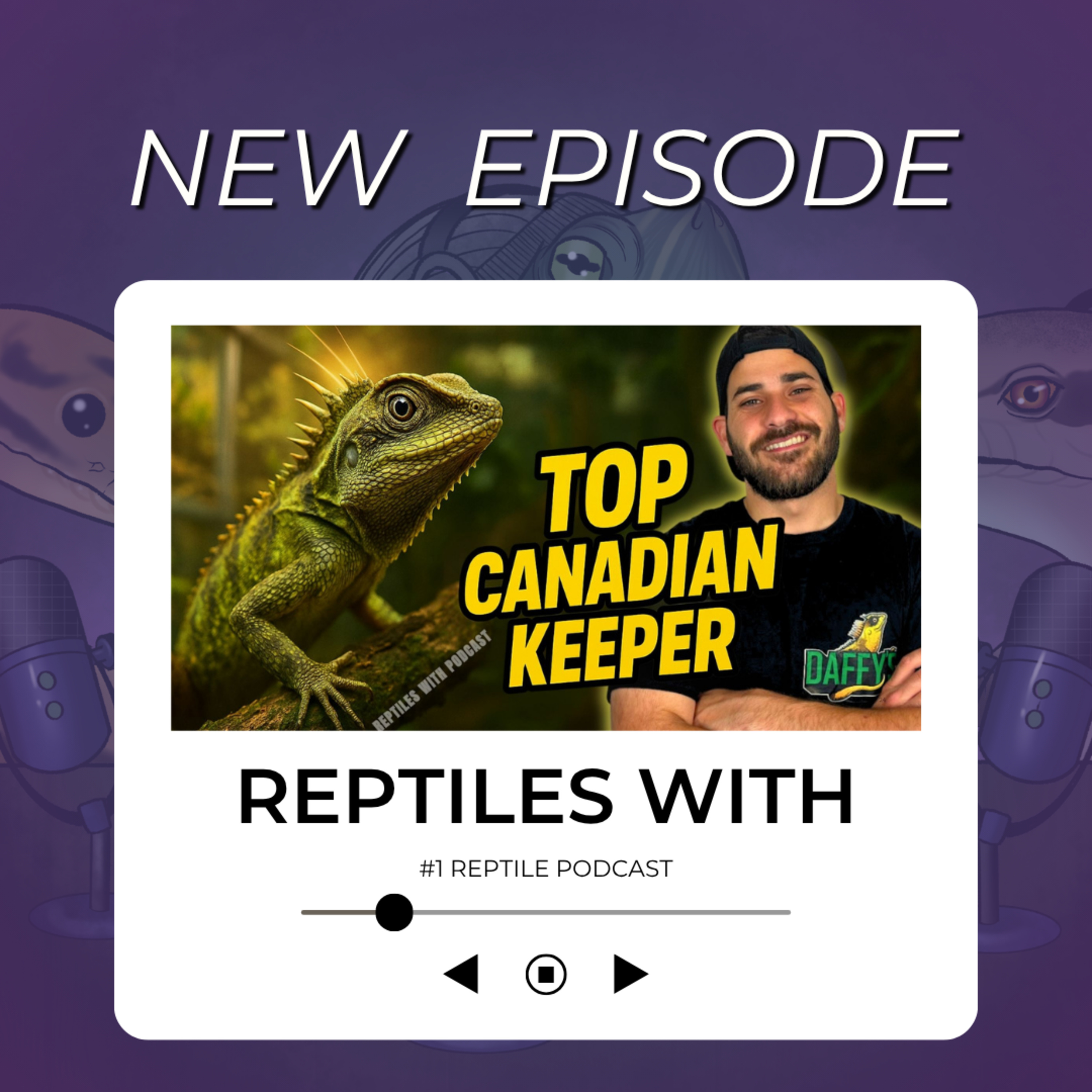 Mountain Horned Dragons, Working with Zoos, & Podcasting | Reptiles With Daffys Round Table Podcast