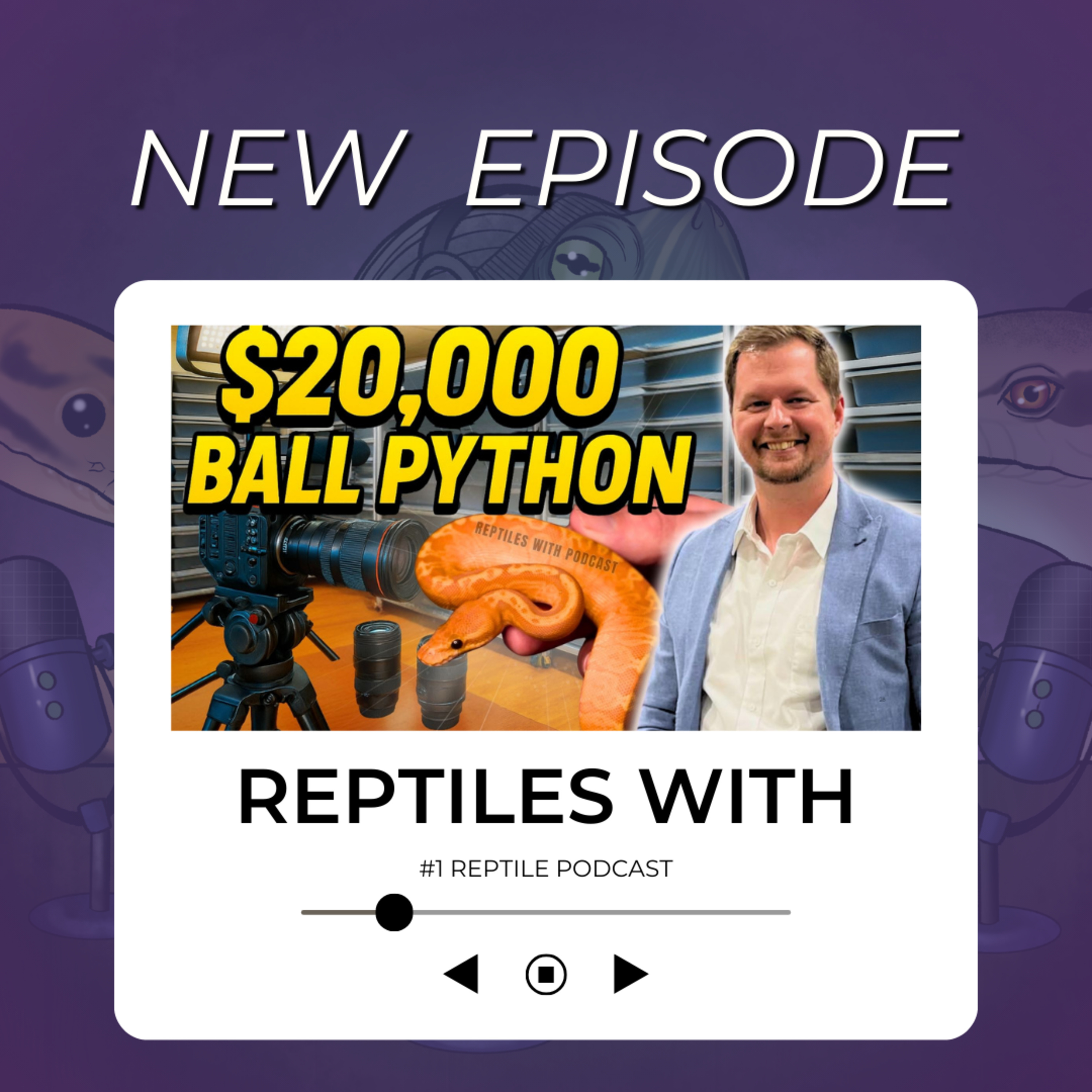 $20k SUNSET BALL PYTHON & REPTILE DOCUMENTARIES | Reptiles With Leviathan Podcast