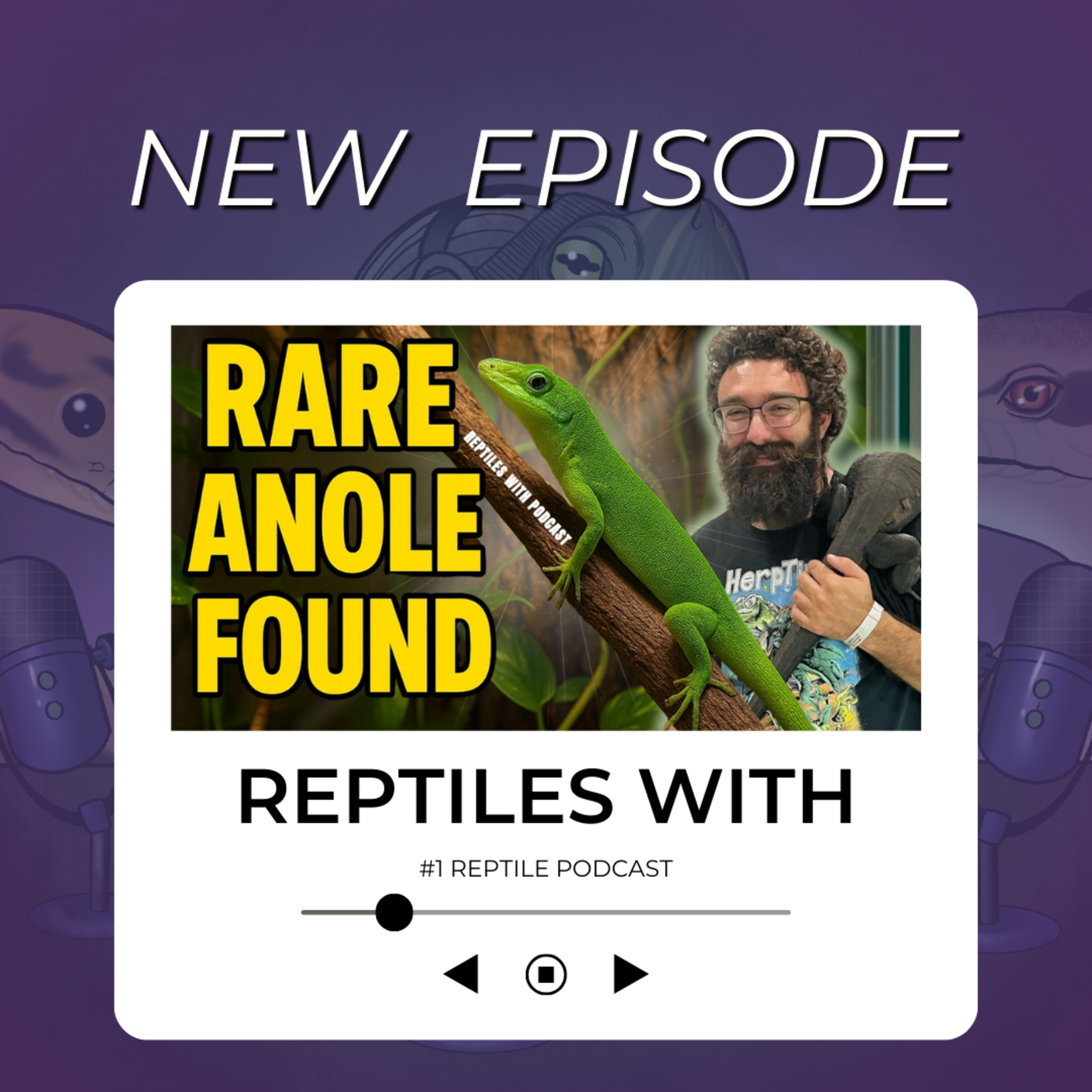 WE FOUND A RARE ANOLE & HERP TRIP STORIES | Reptiles With Armen from HerpTime Podcast