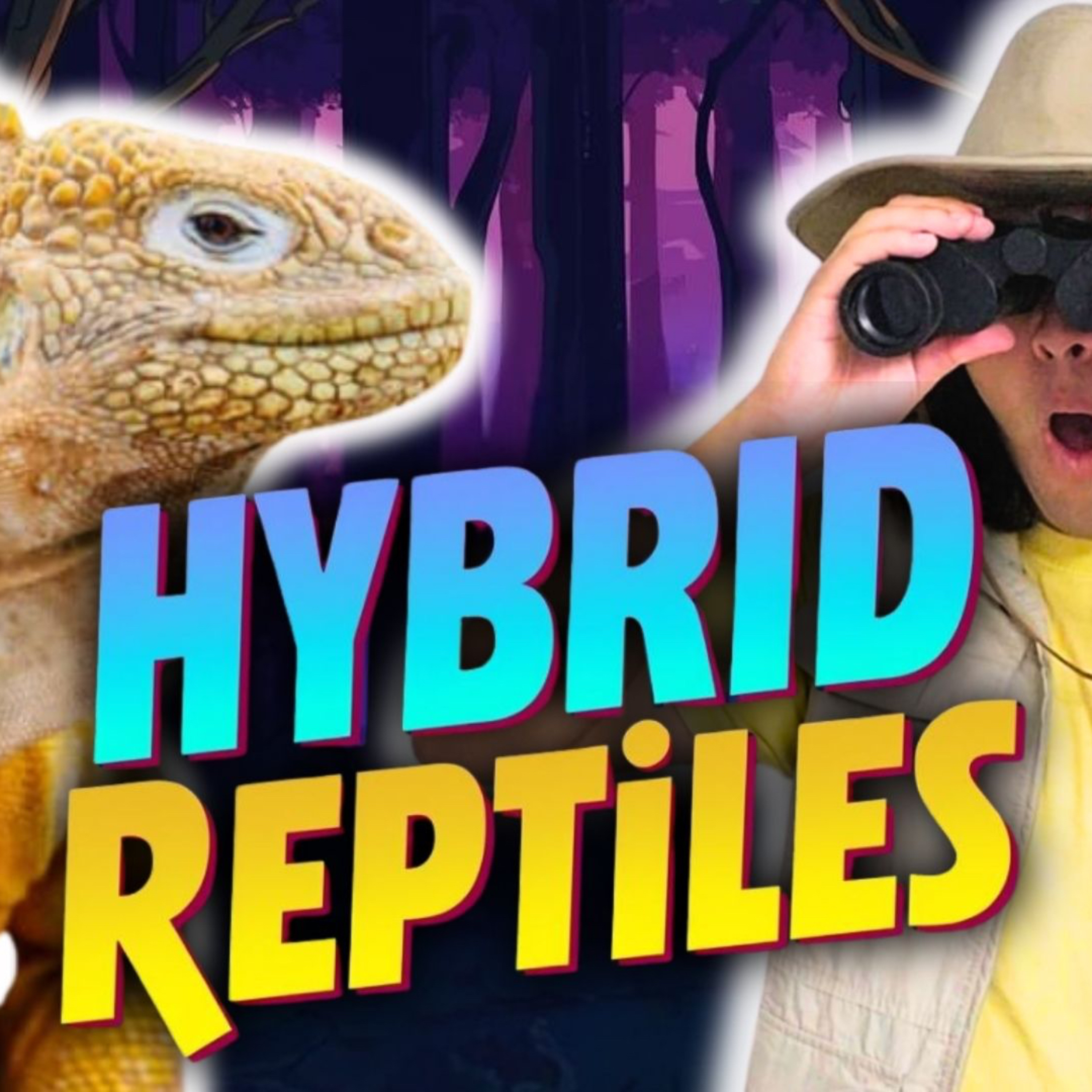 Reptiles With podcast Update (Guess The Reptile Hybrid)
